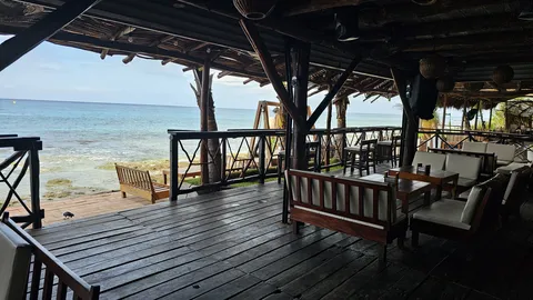 Hemingway Restaurant Beach & Nightclub Cozumel image 2