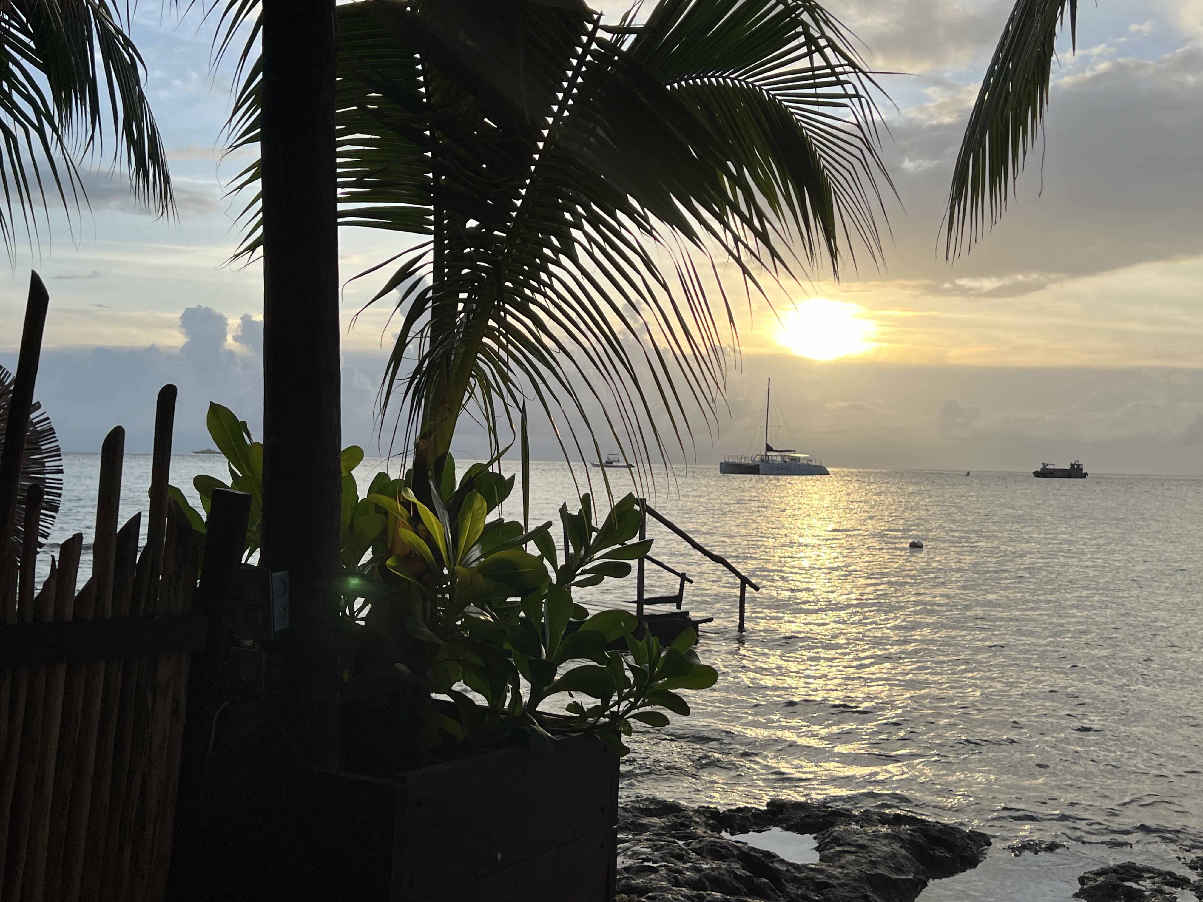 Hemingway Restaurant Beach & Nightclub Cozumel image 8