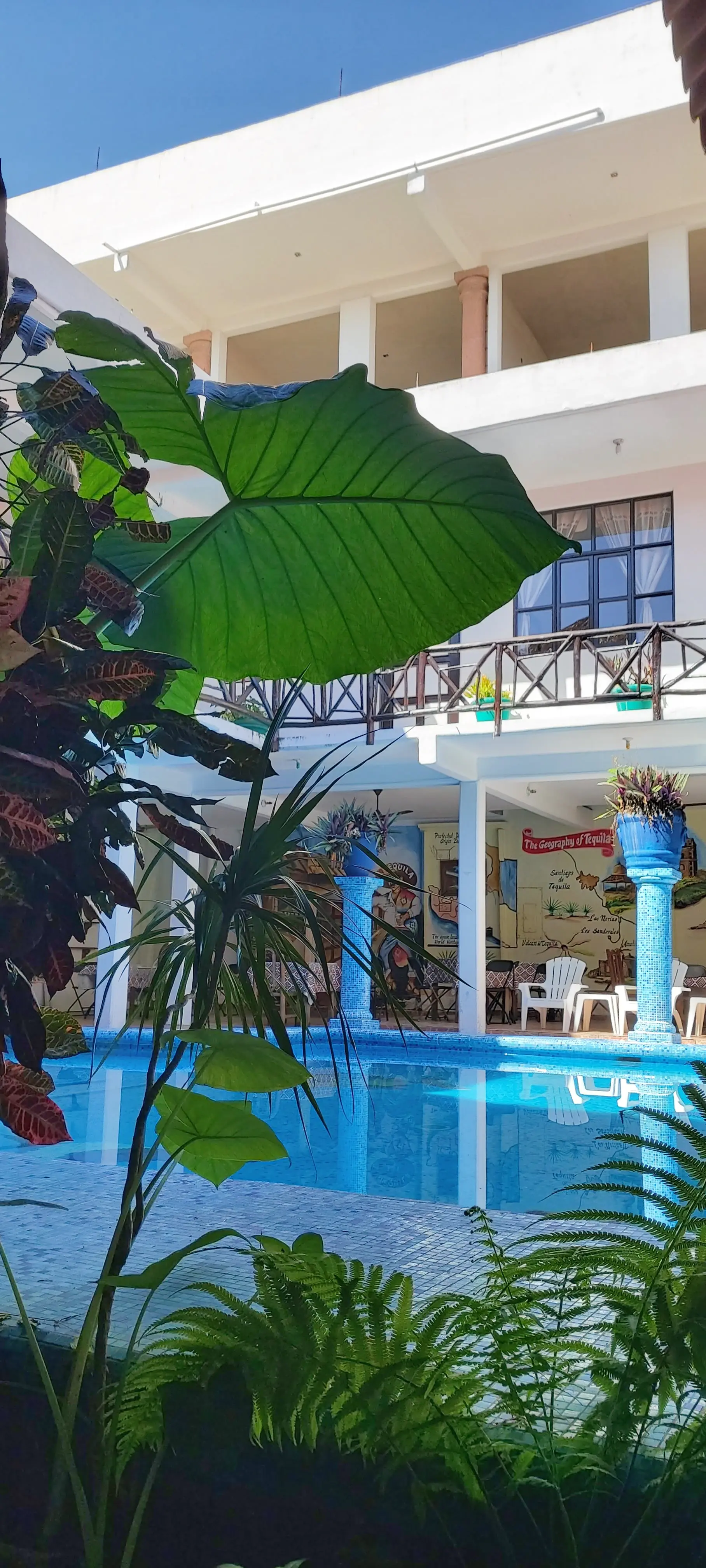 Restaurante Los Molcajetes image 10