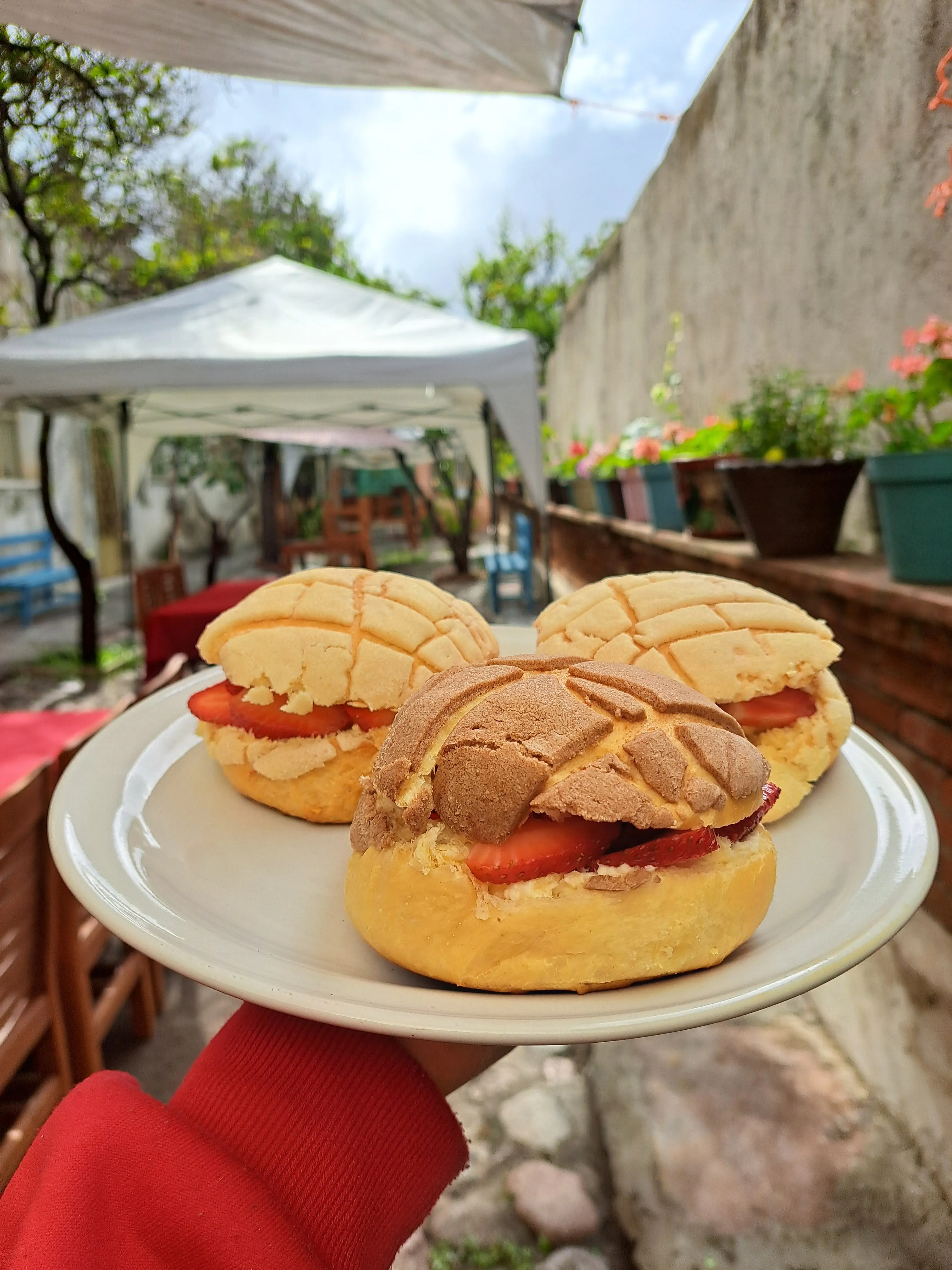 Cafetería Dicafé image 6