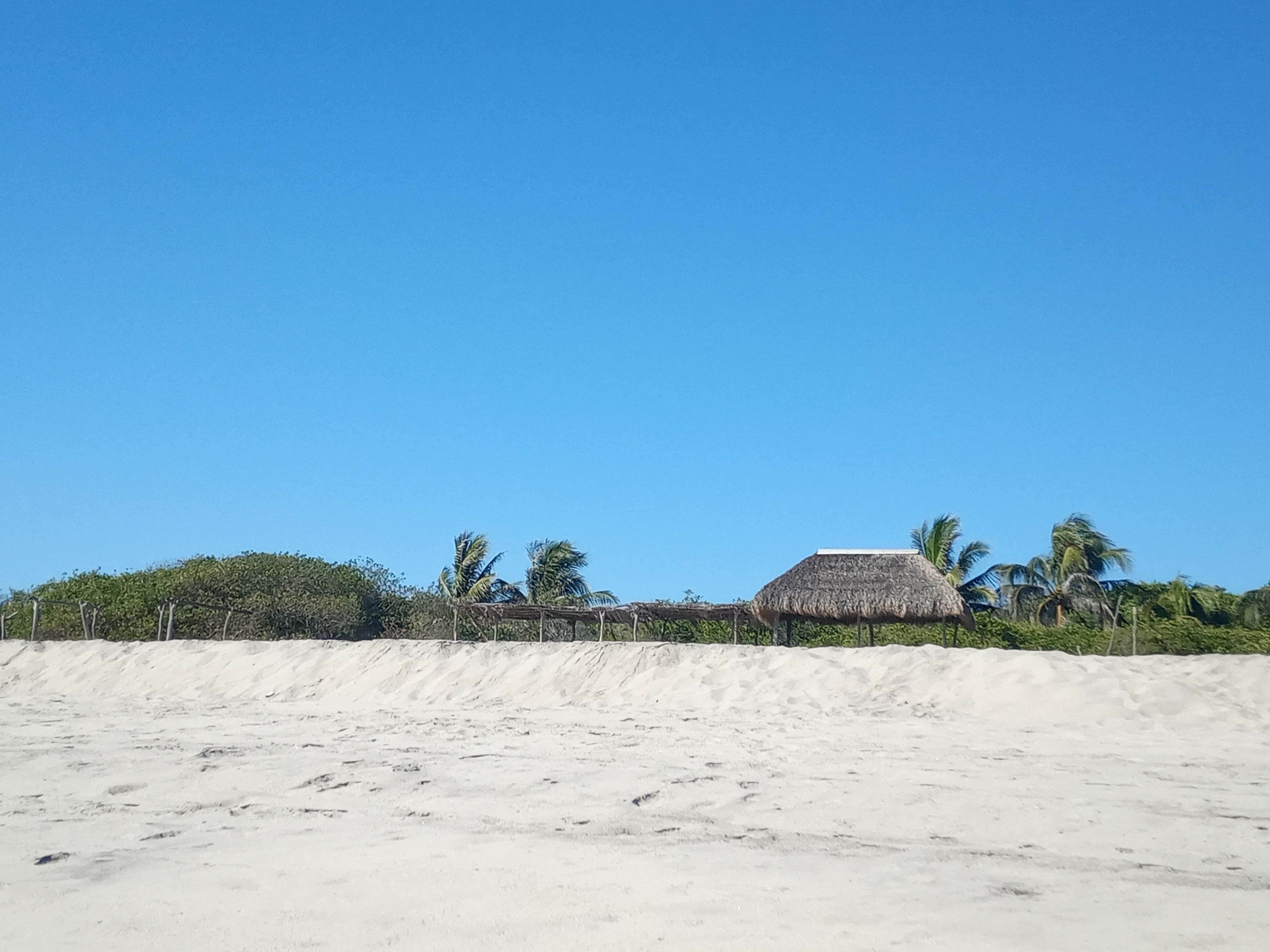 Cockteleria "Mi juquilita" image 6