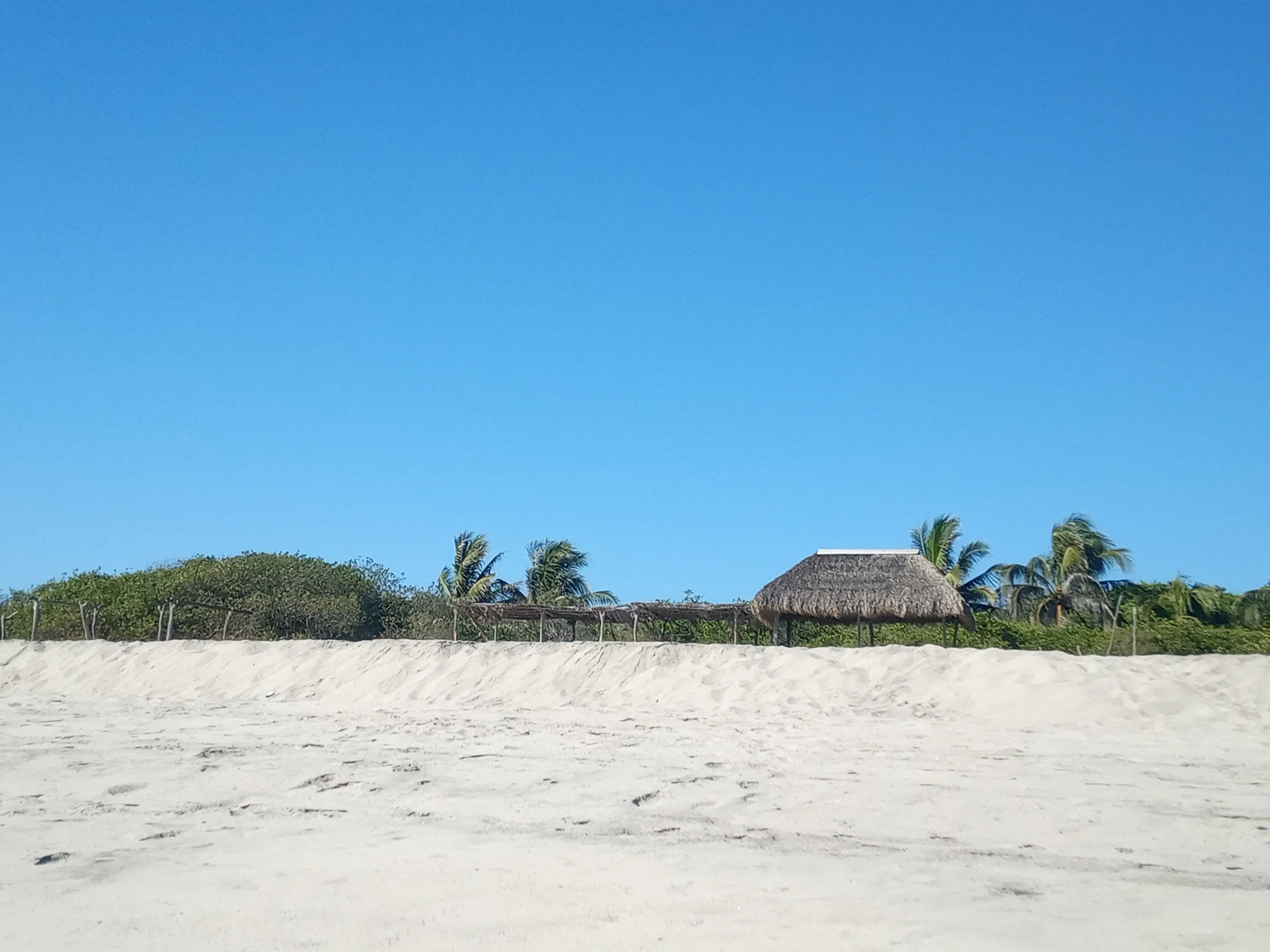 Cockteleria "Mi juquilita" image 6