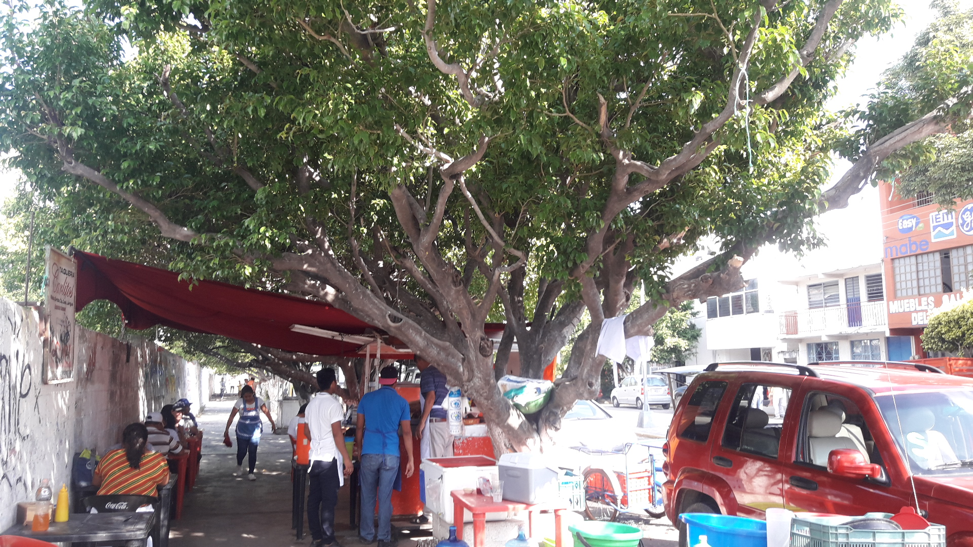 TAQUERIA CARLITOS image 4