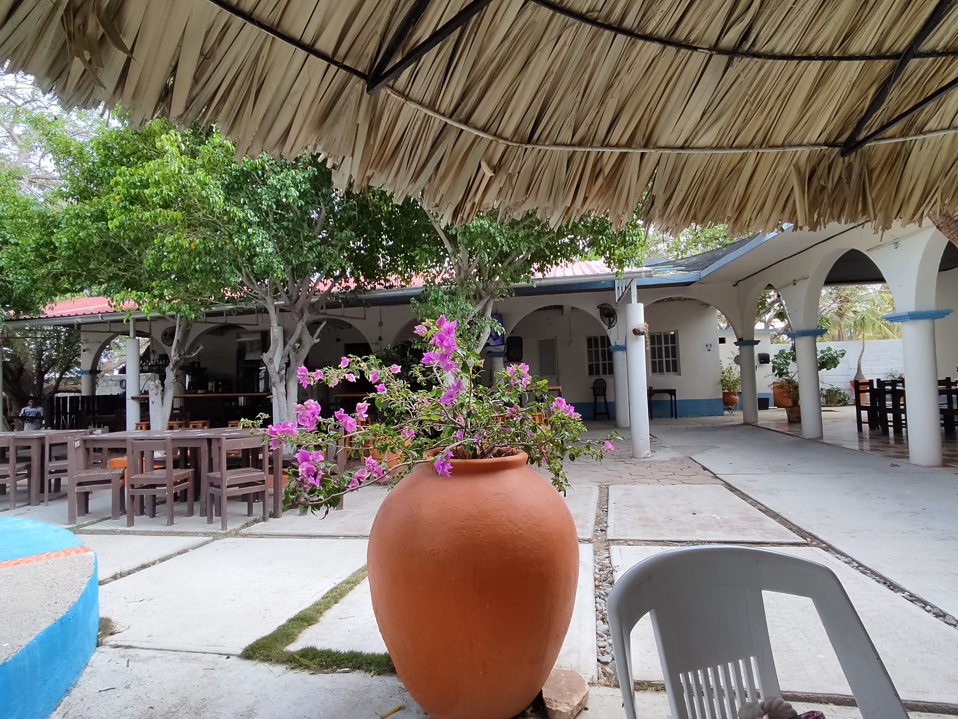 Restaurante Alberca Hacienda La Salinera image 4