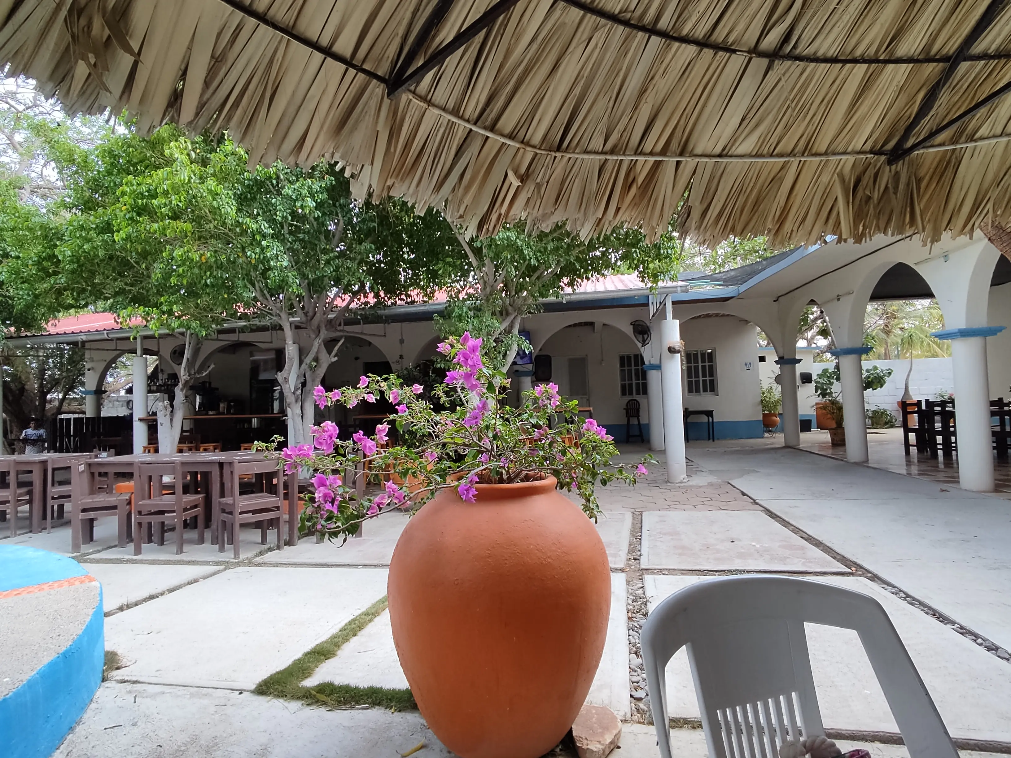 Restaurante Alberca Hacienda La Salinera image 4