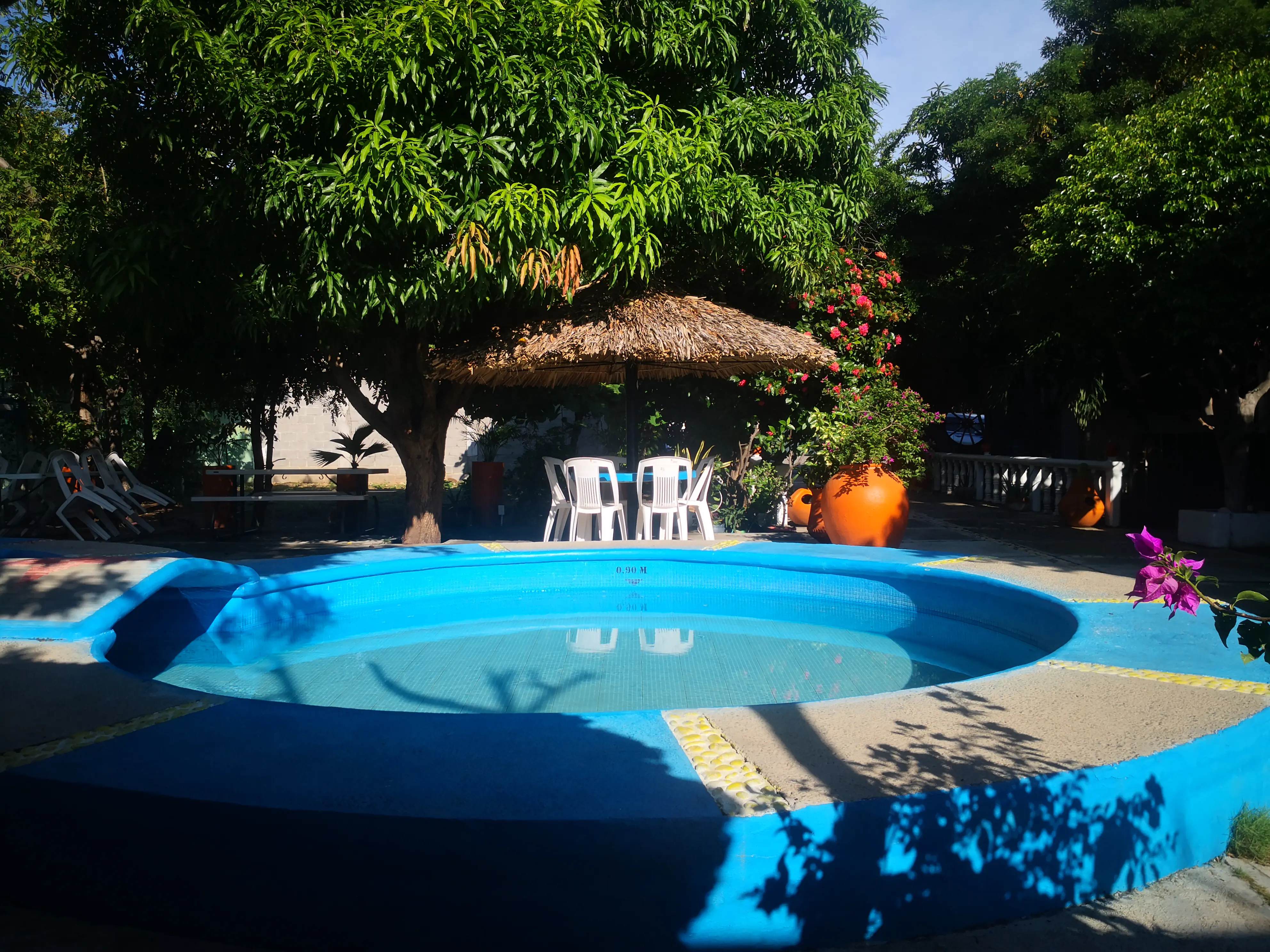 Restaurante Alberca Hacienda La Salinera image 7