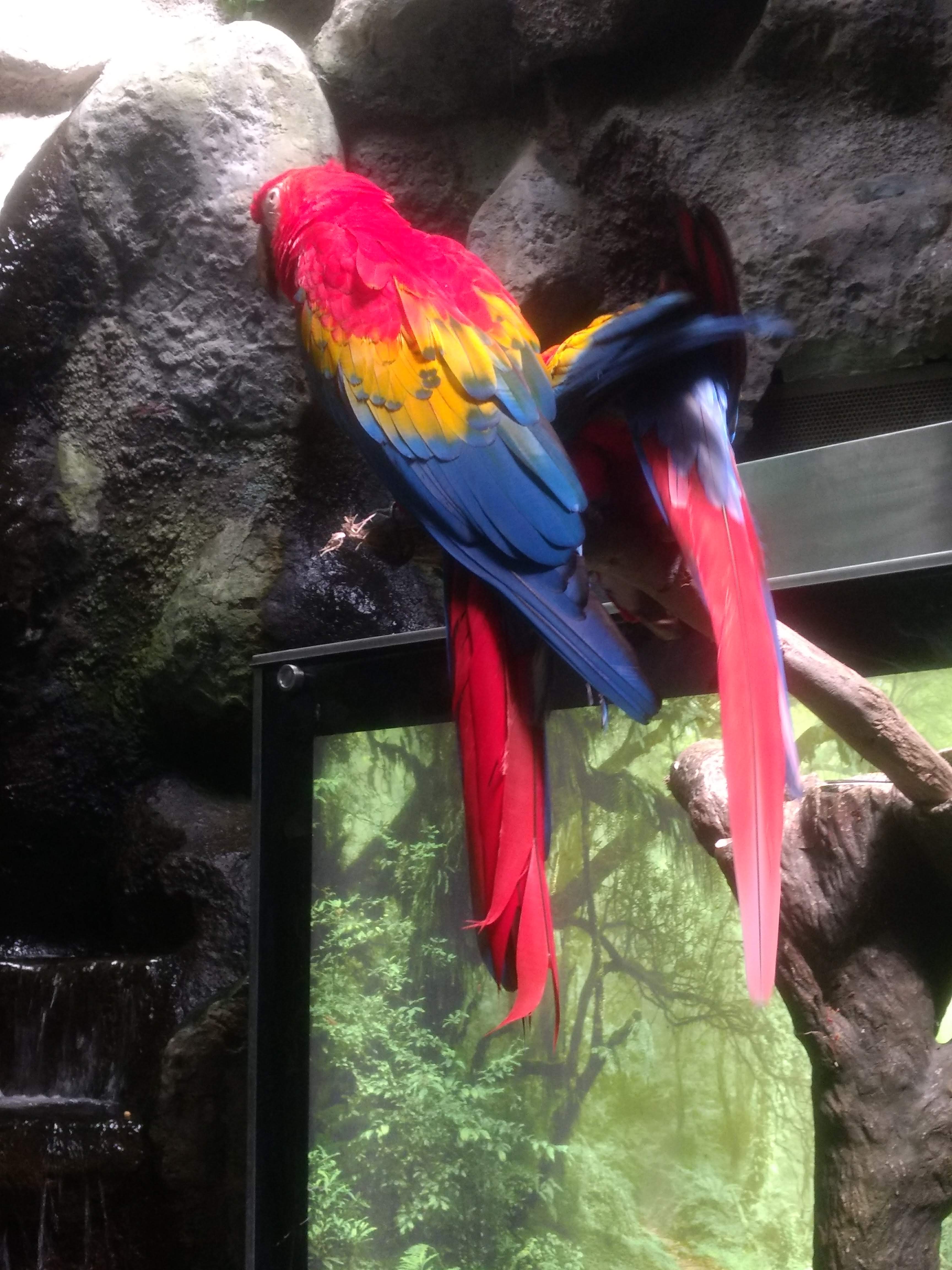 La Fonda De Zaragoza image 4