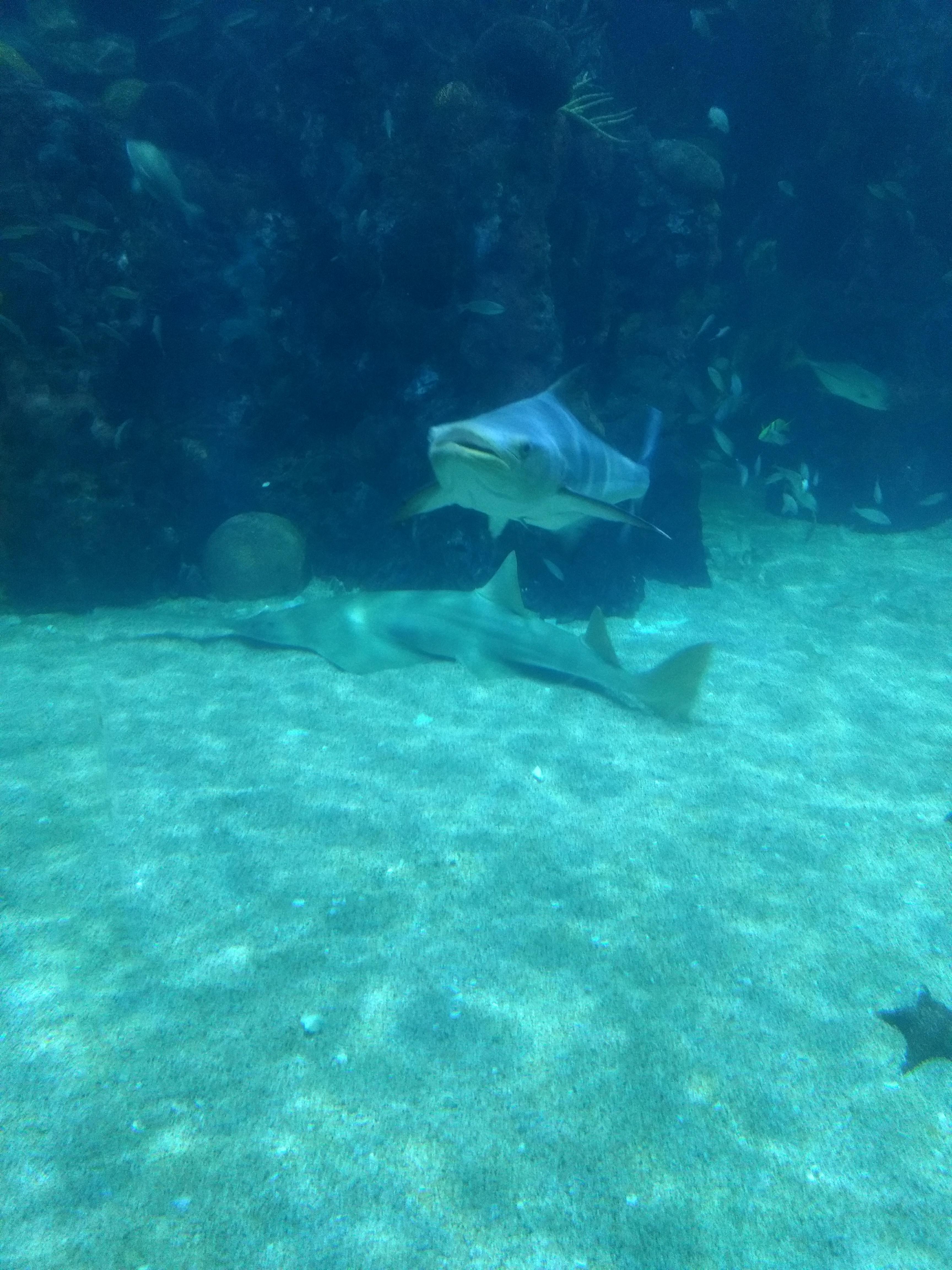 La Fonda De Zaragoza image 7