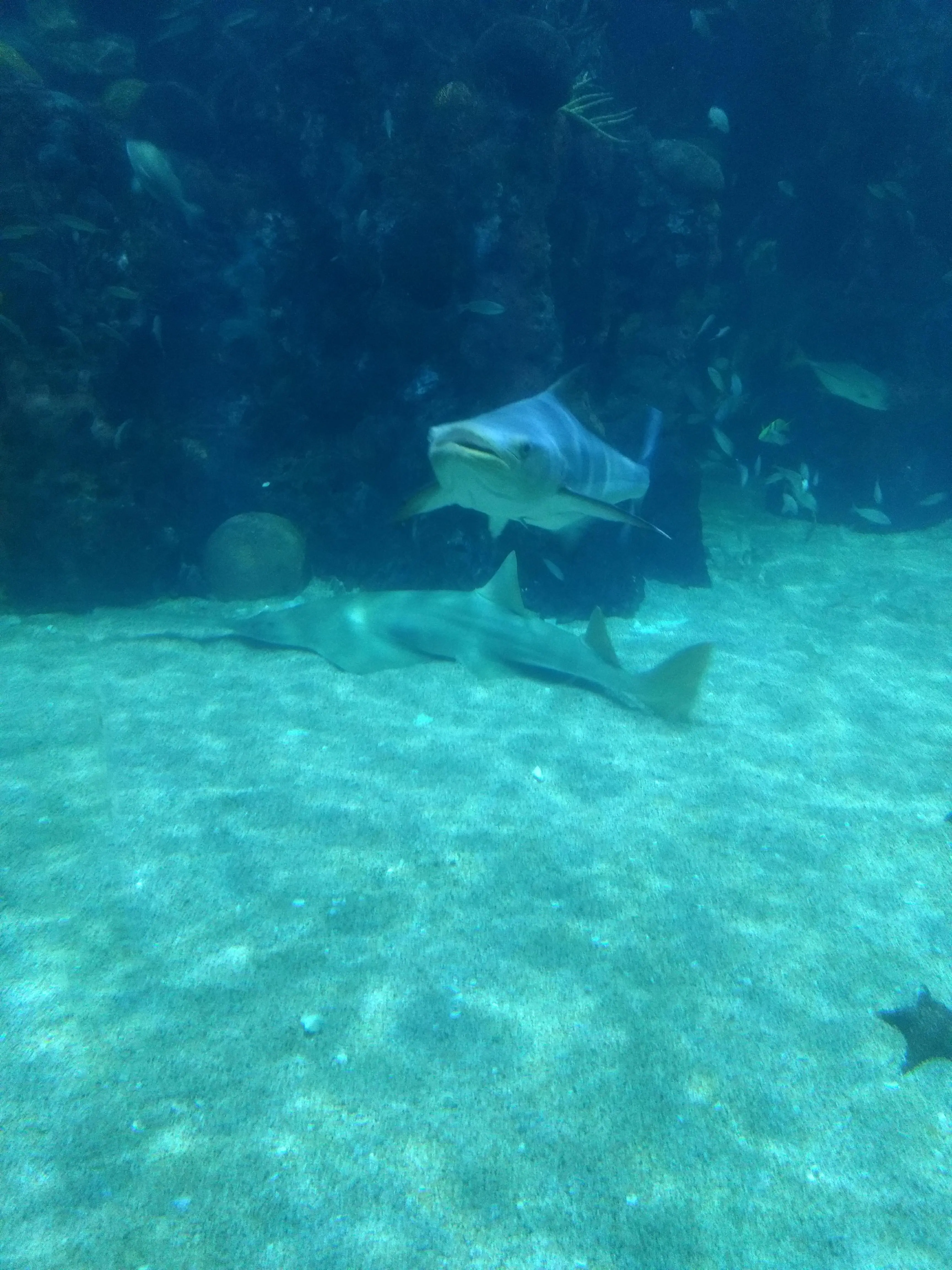 La Fonda De Zaragoza image 7