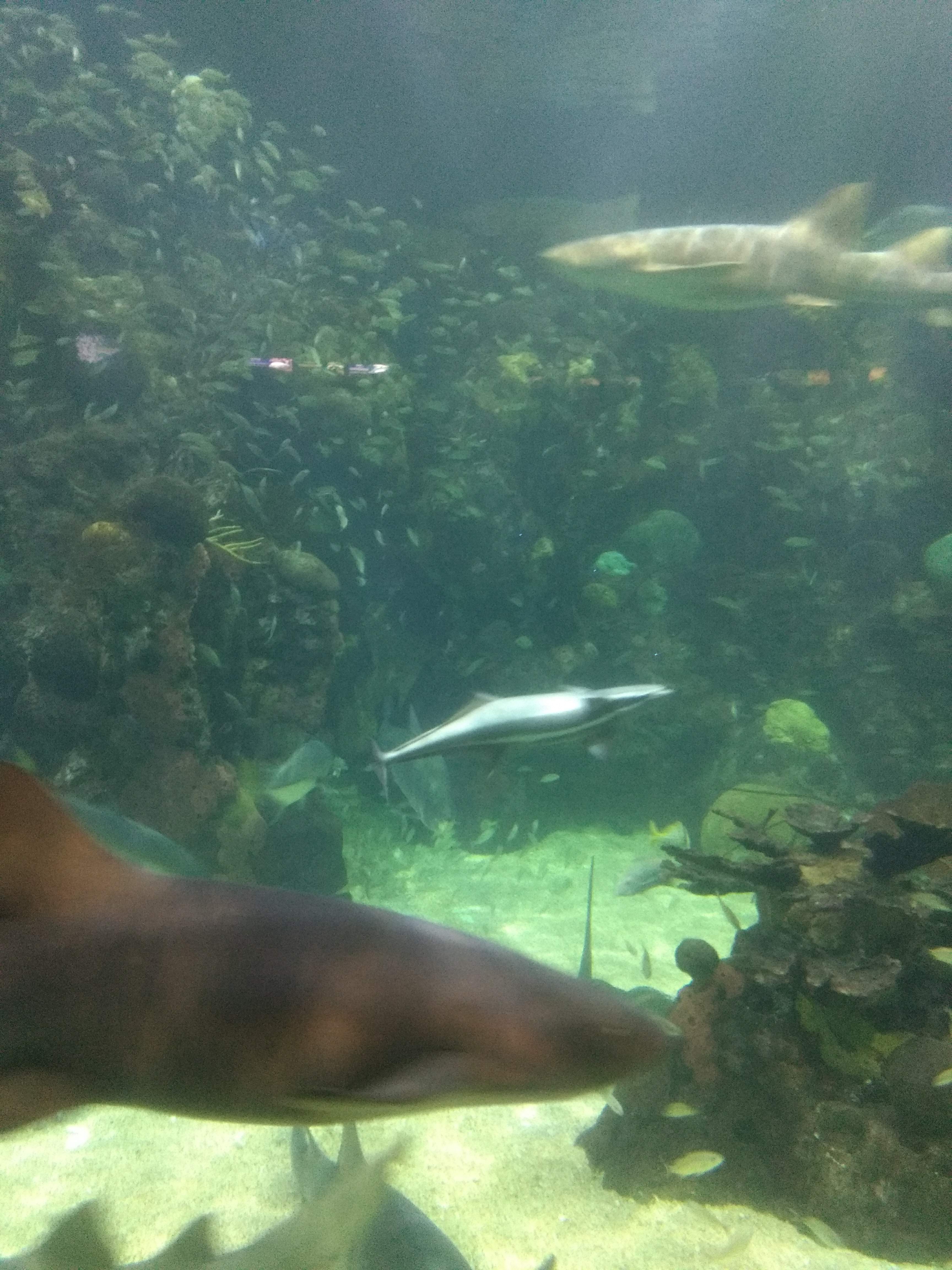 La Fonda De Zaragoza image 8