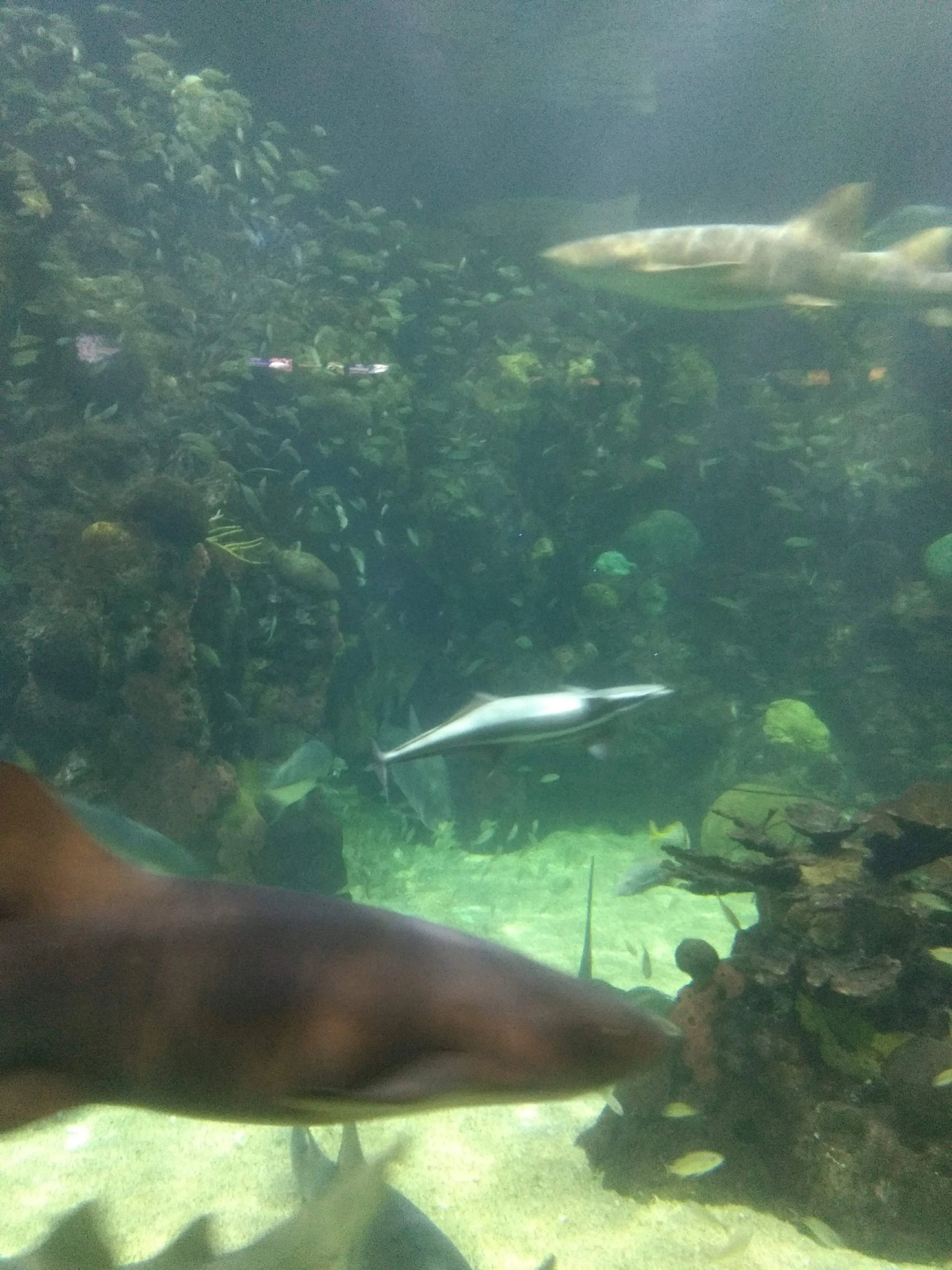 La Fonda De Zaragoza image 8