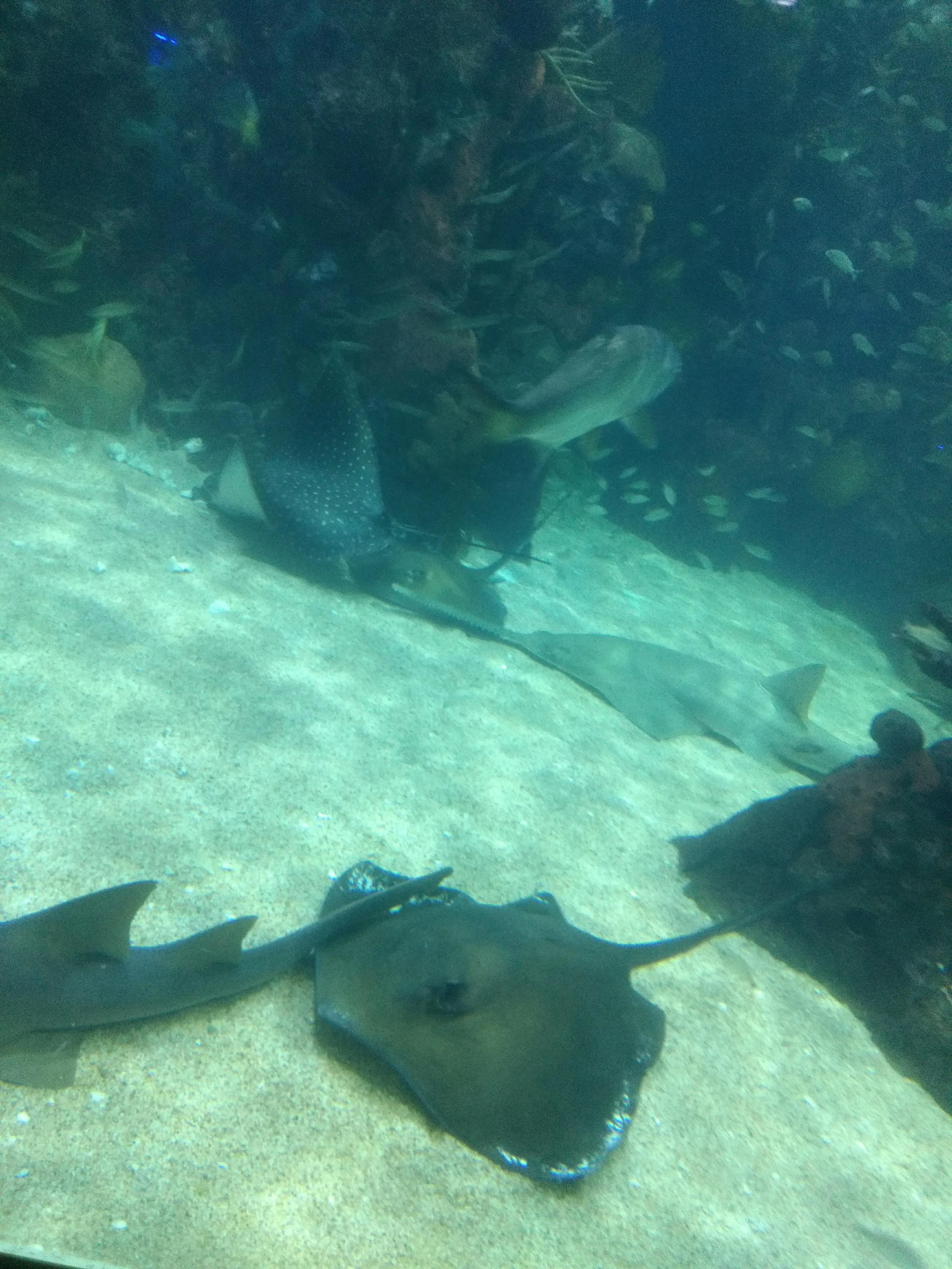 La Fonda De Zaragoza image 9