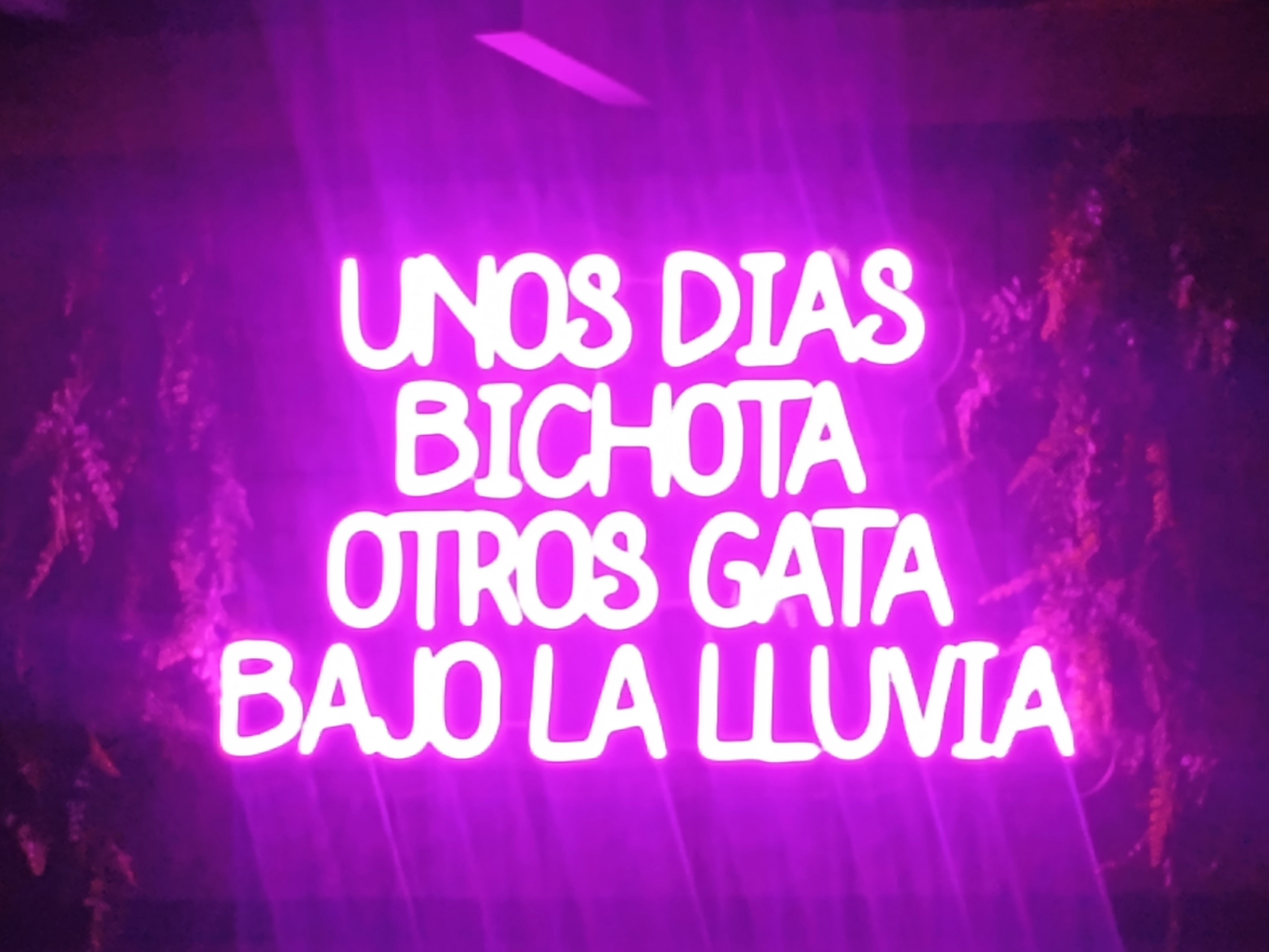 DOS28 TERRAZA GASTROBAR image 7