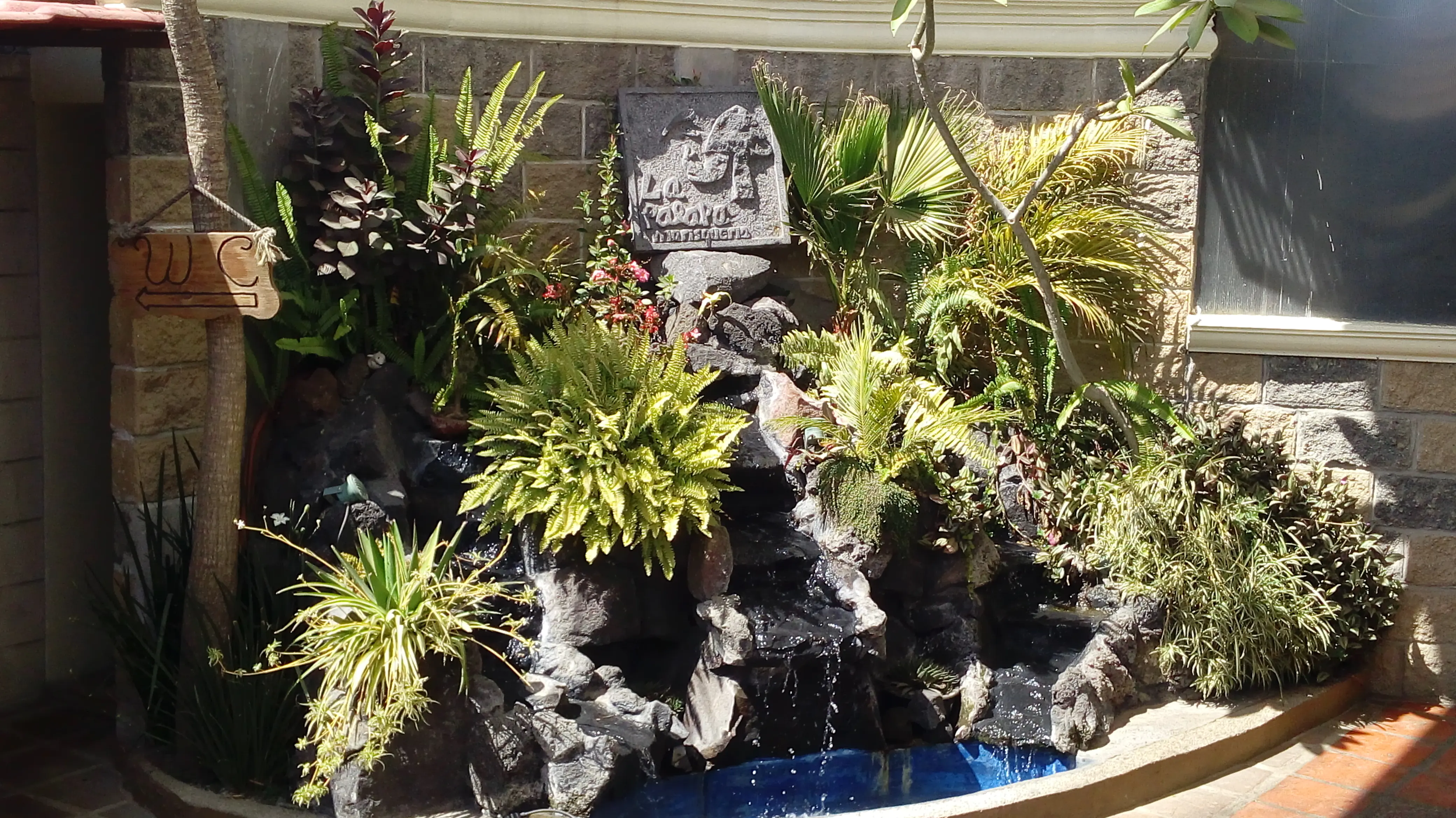 Restaurante "La Palapa" image 4