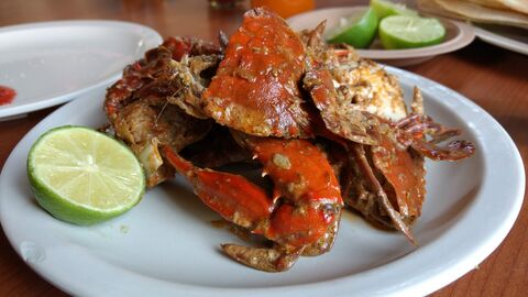La Tequita image 2