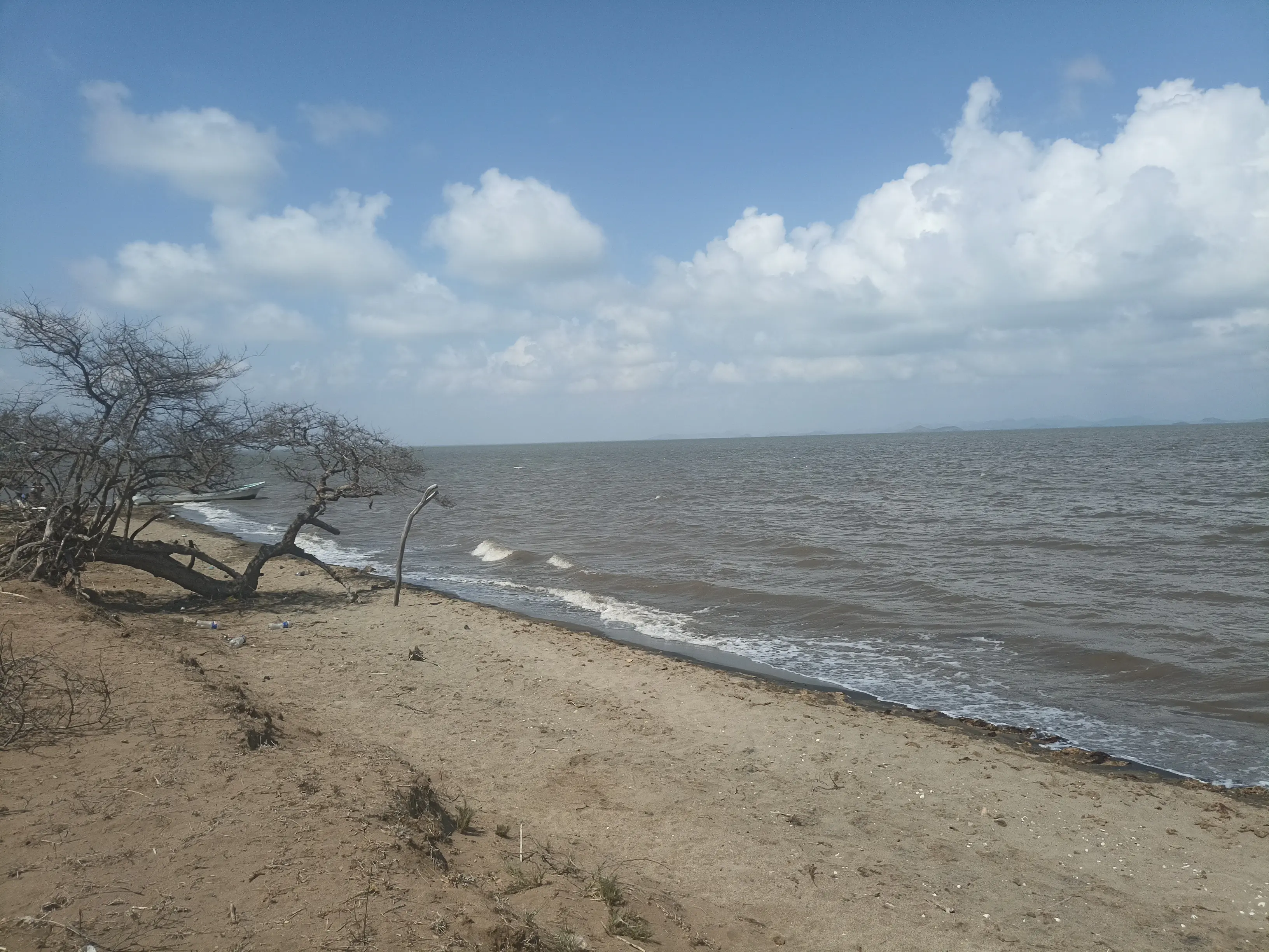 Restaurant Maxihamburguesas image 4