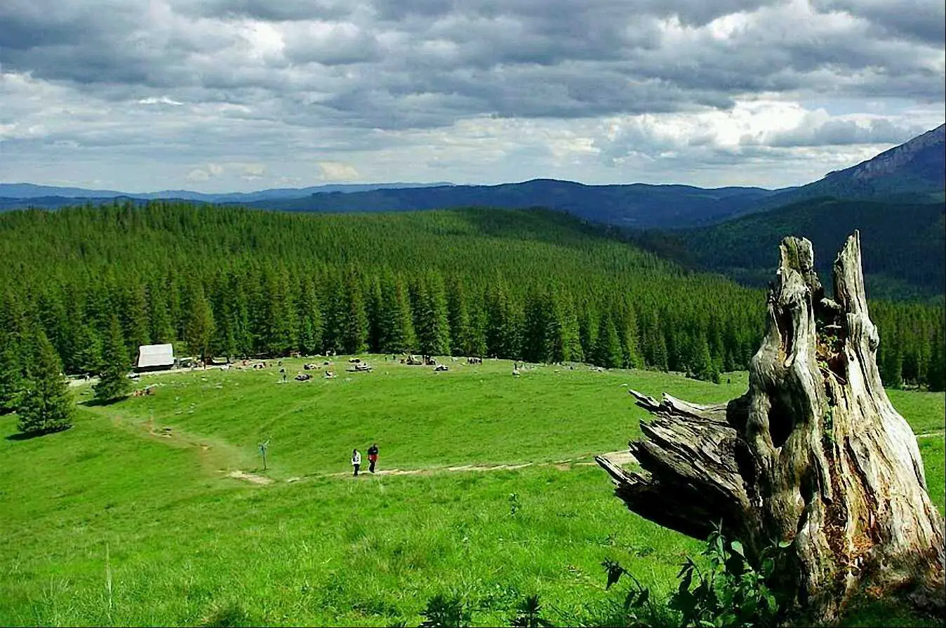 Z'Ro Restaurate Bar image 7