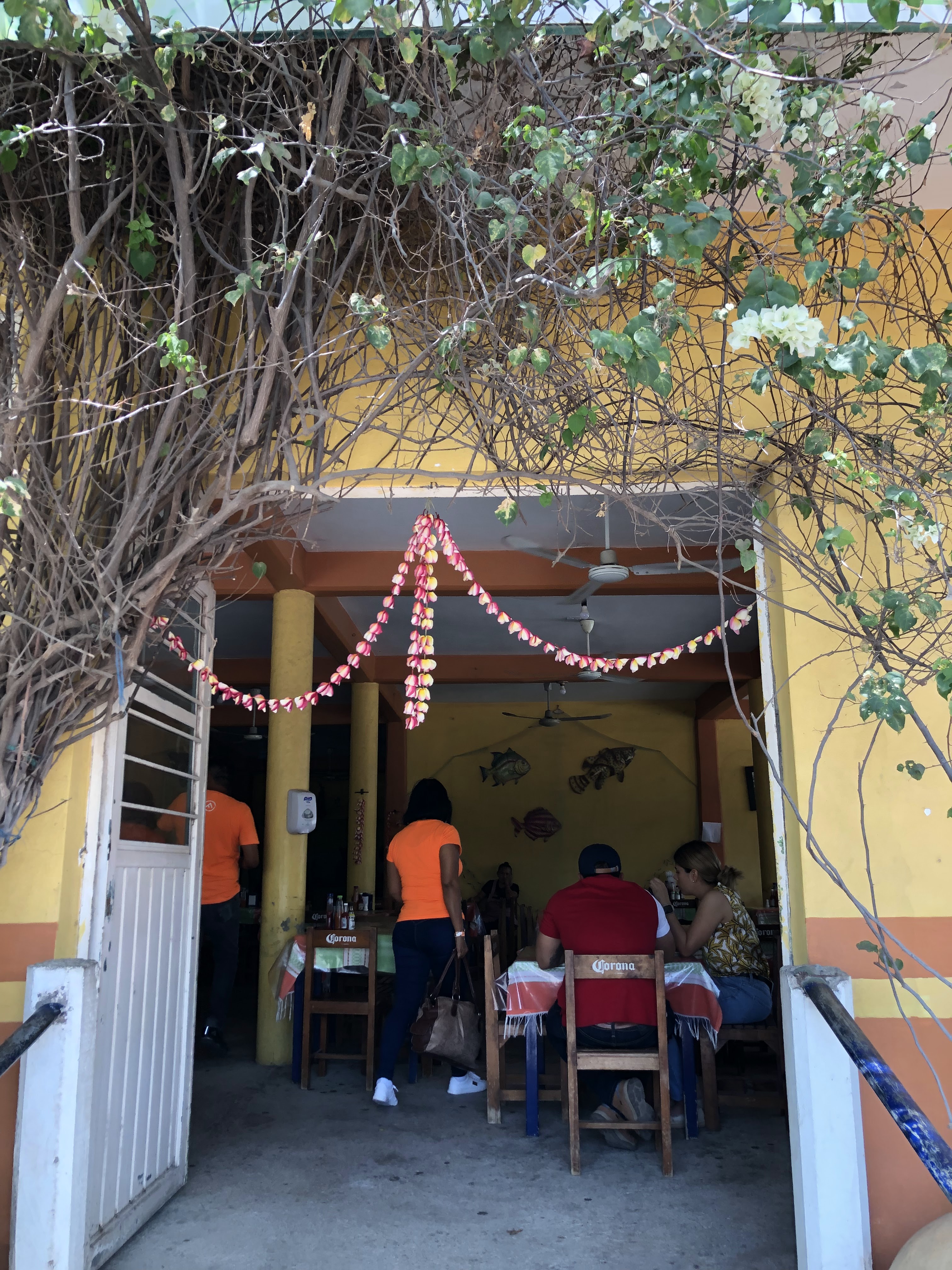 Restaurante La Teca image 1