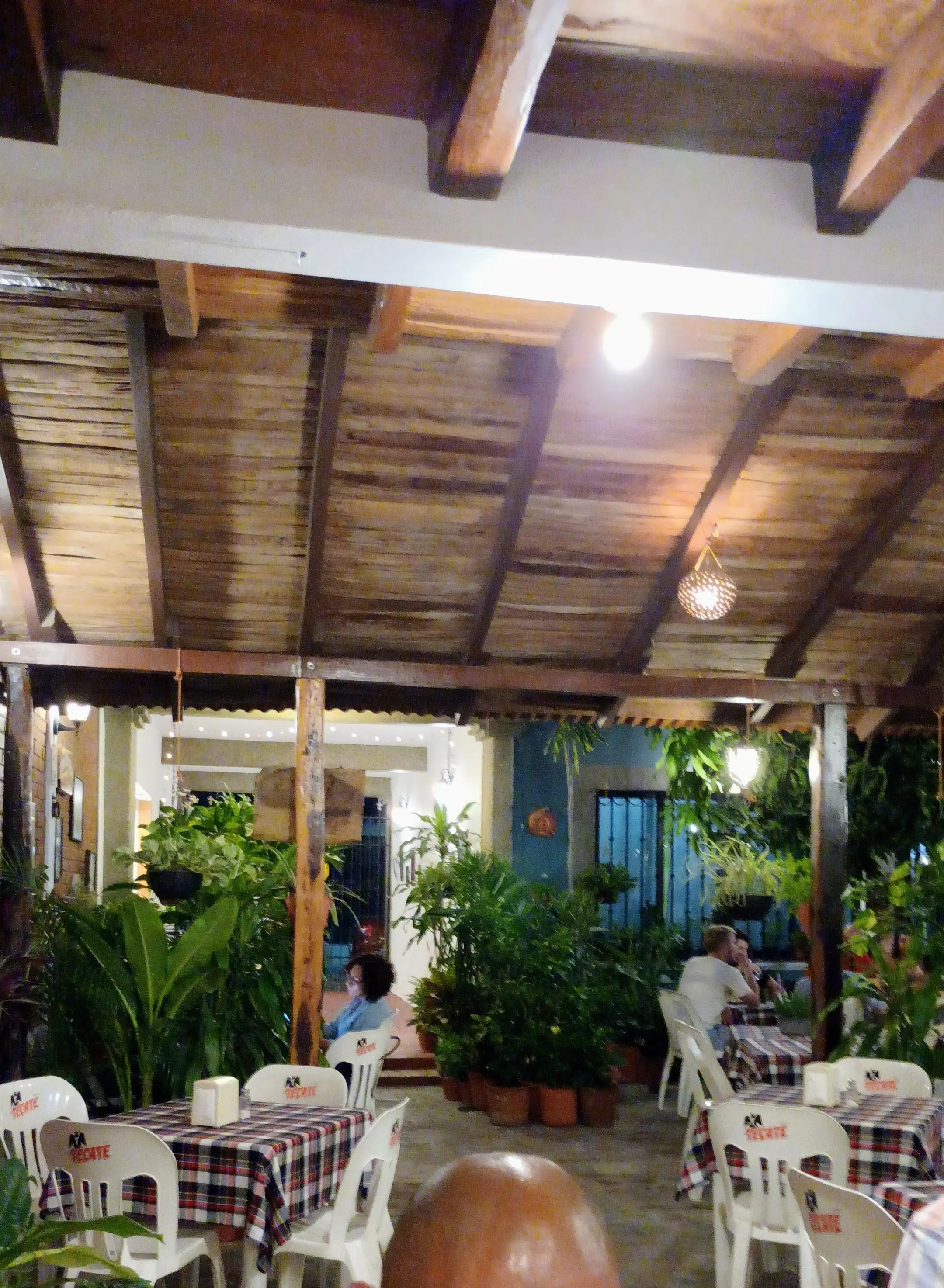 Lidxi Guendaro image 9