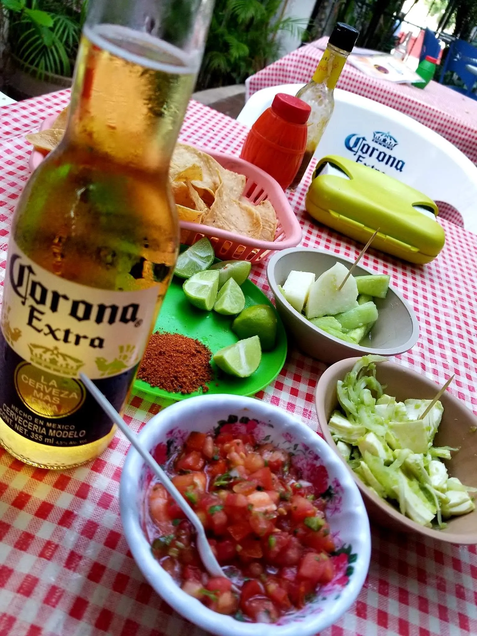 Pichoysito image 6