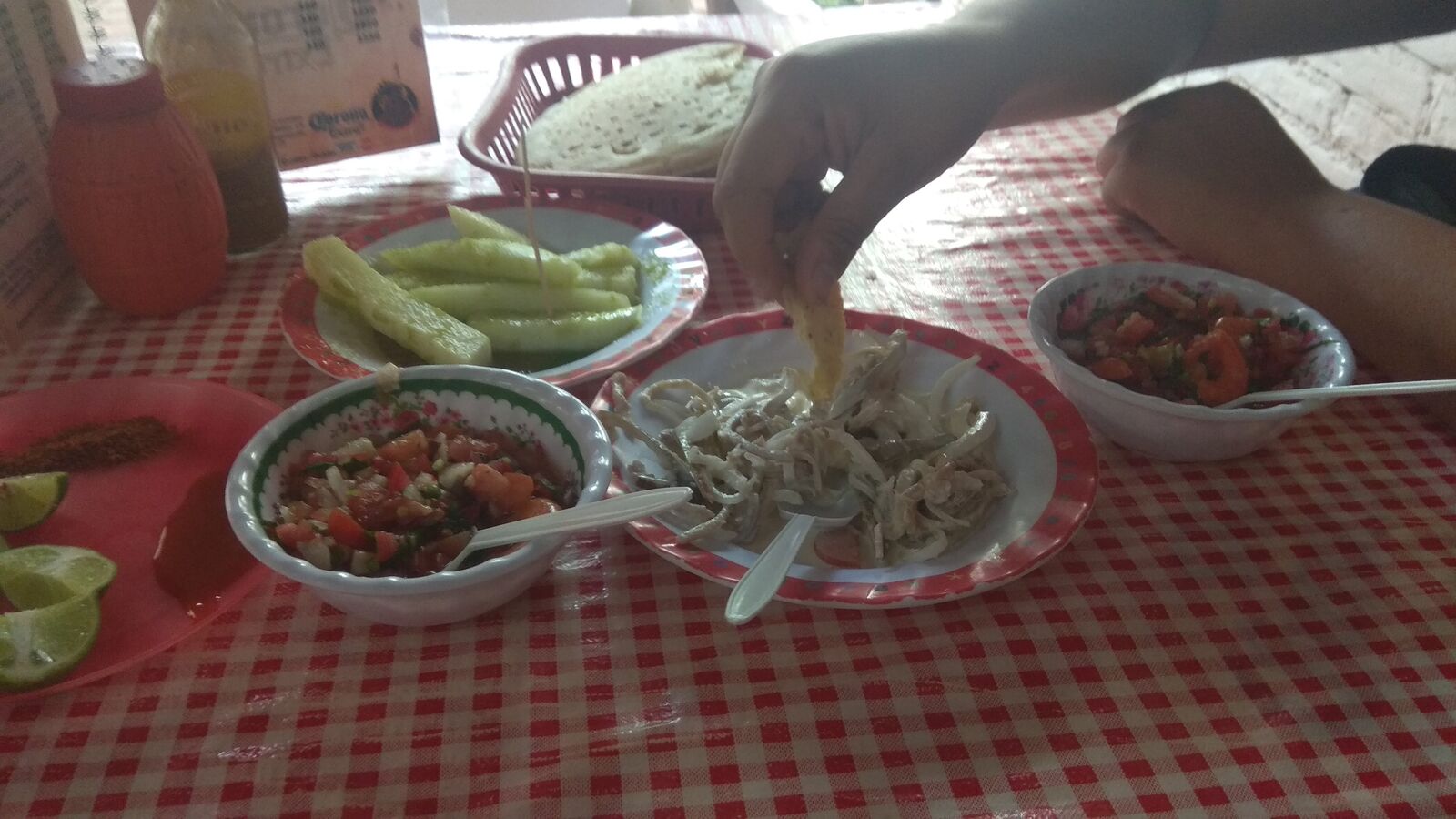 Pichoysito image 9