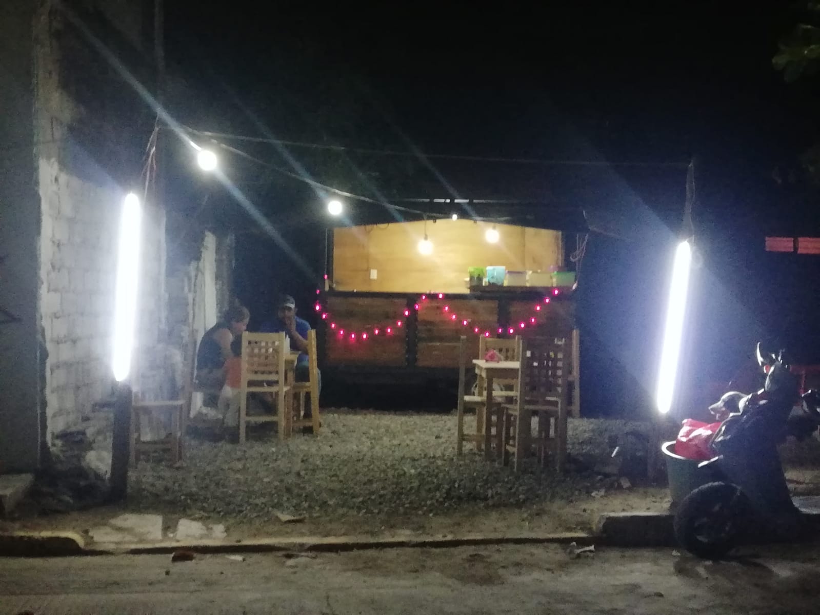 Remolque palma image 2