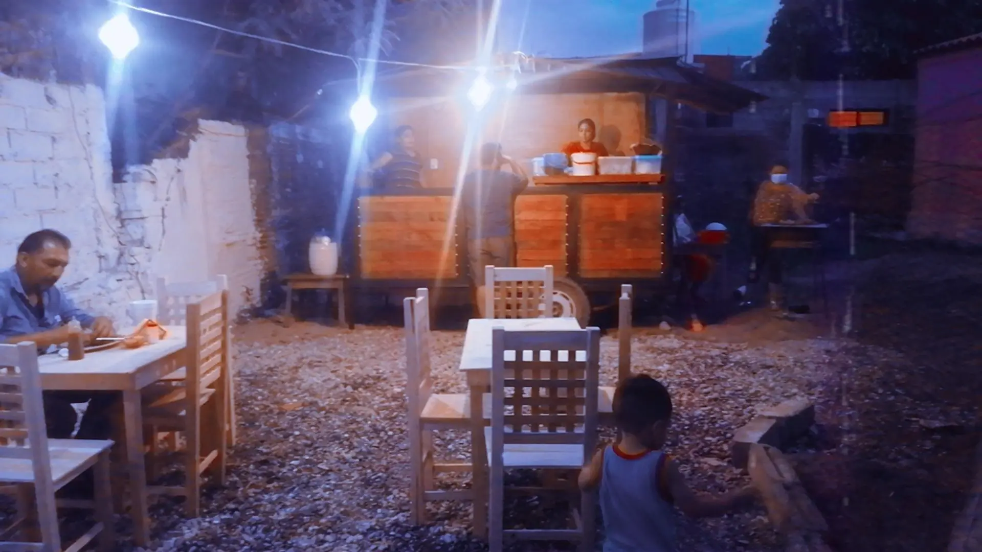 Remolque palma image 3