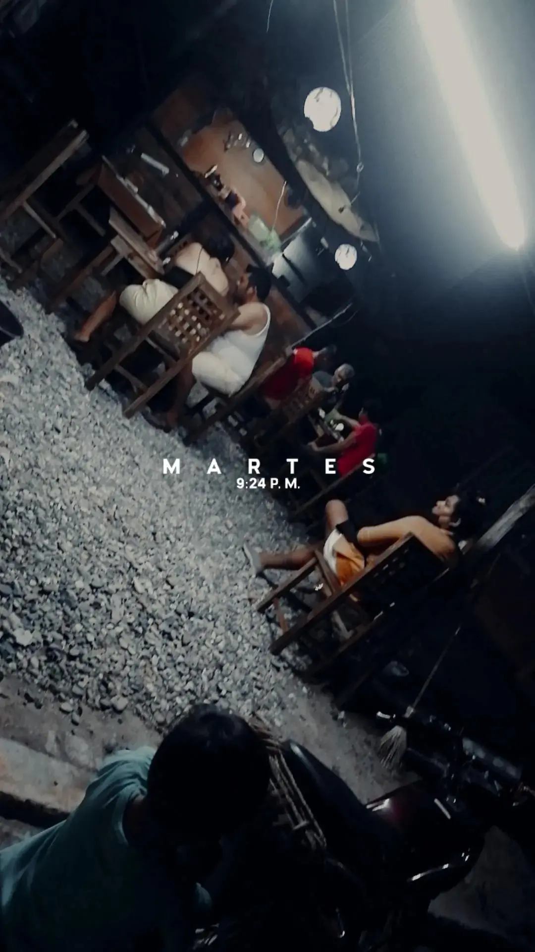 Remolque palma image 6