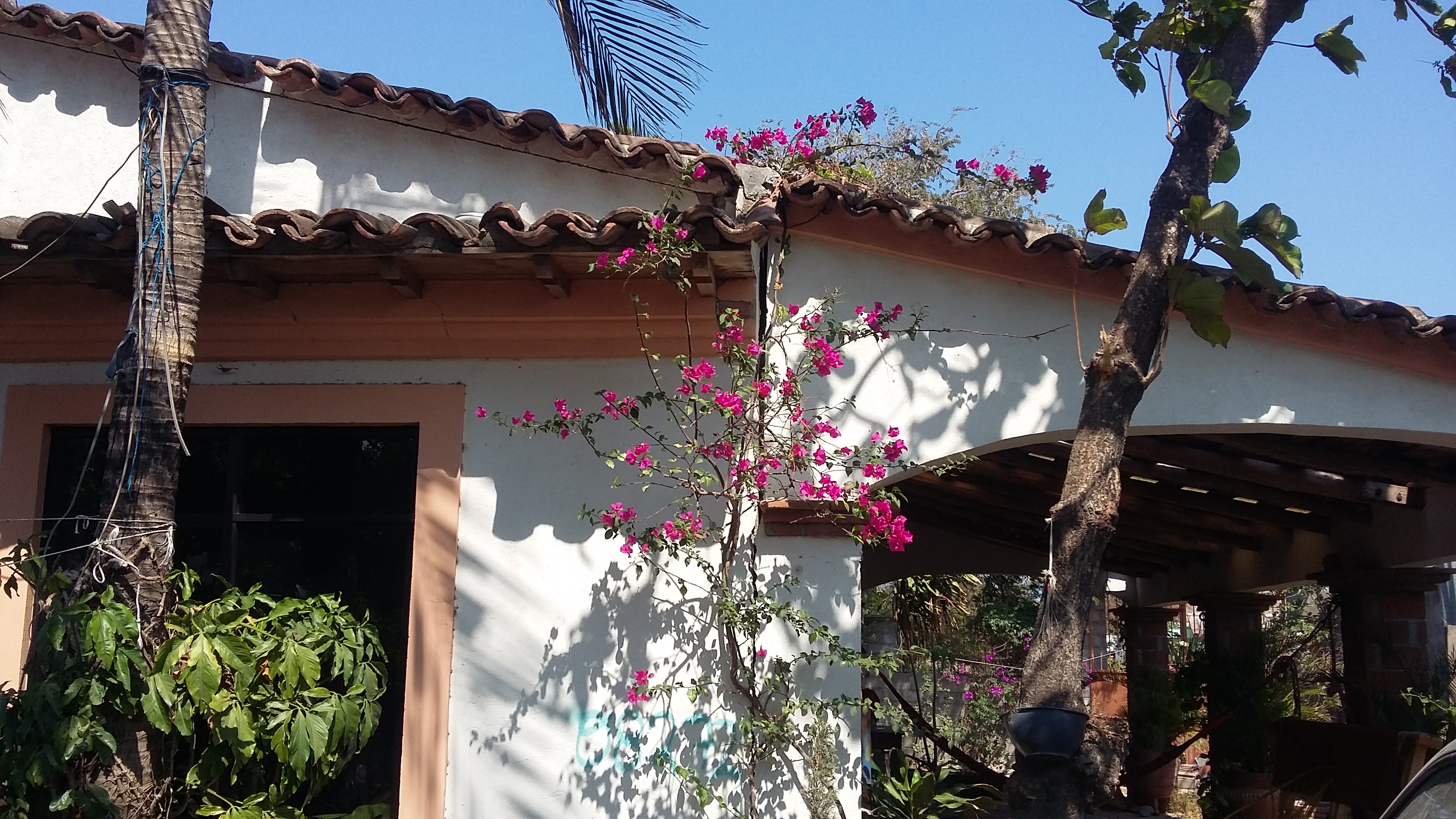 Comedor La Morena image 7