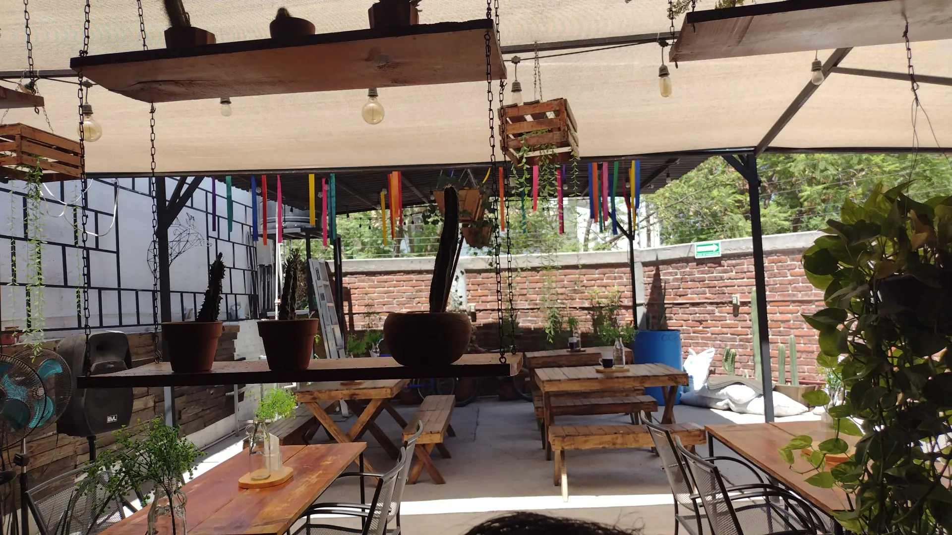 The Catrina Restaurant image 5