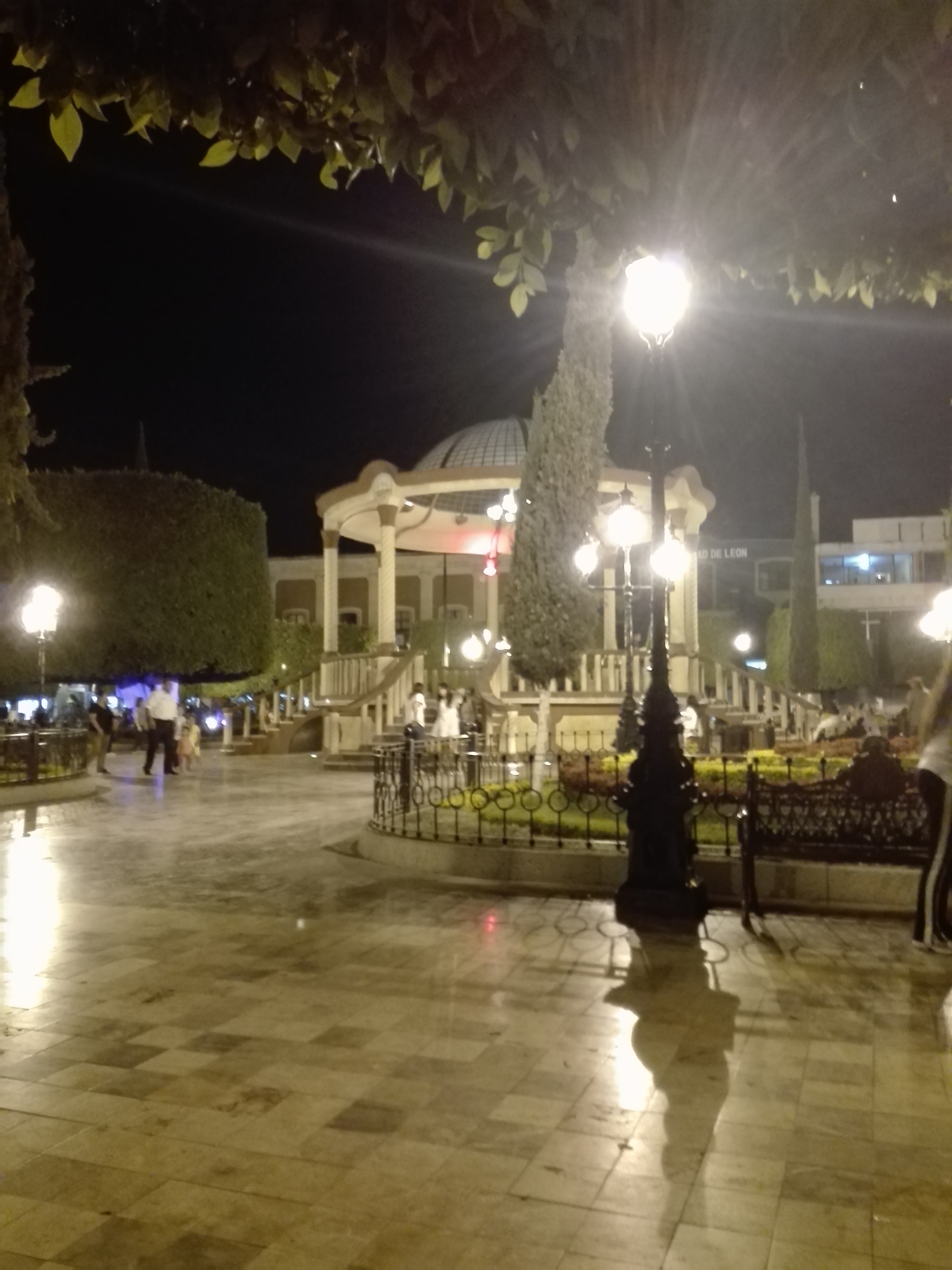 The Italian Coffee Company image 6