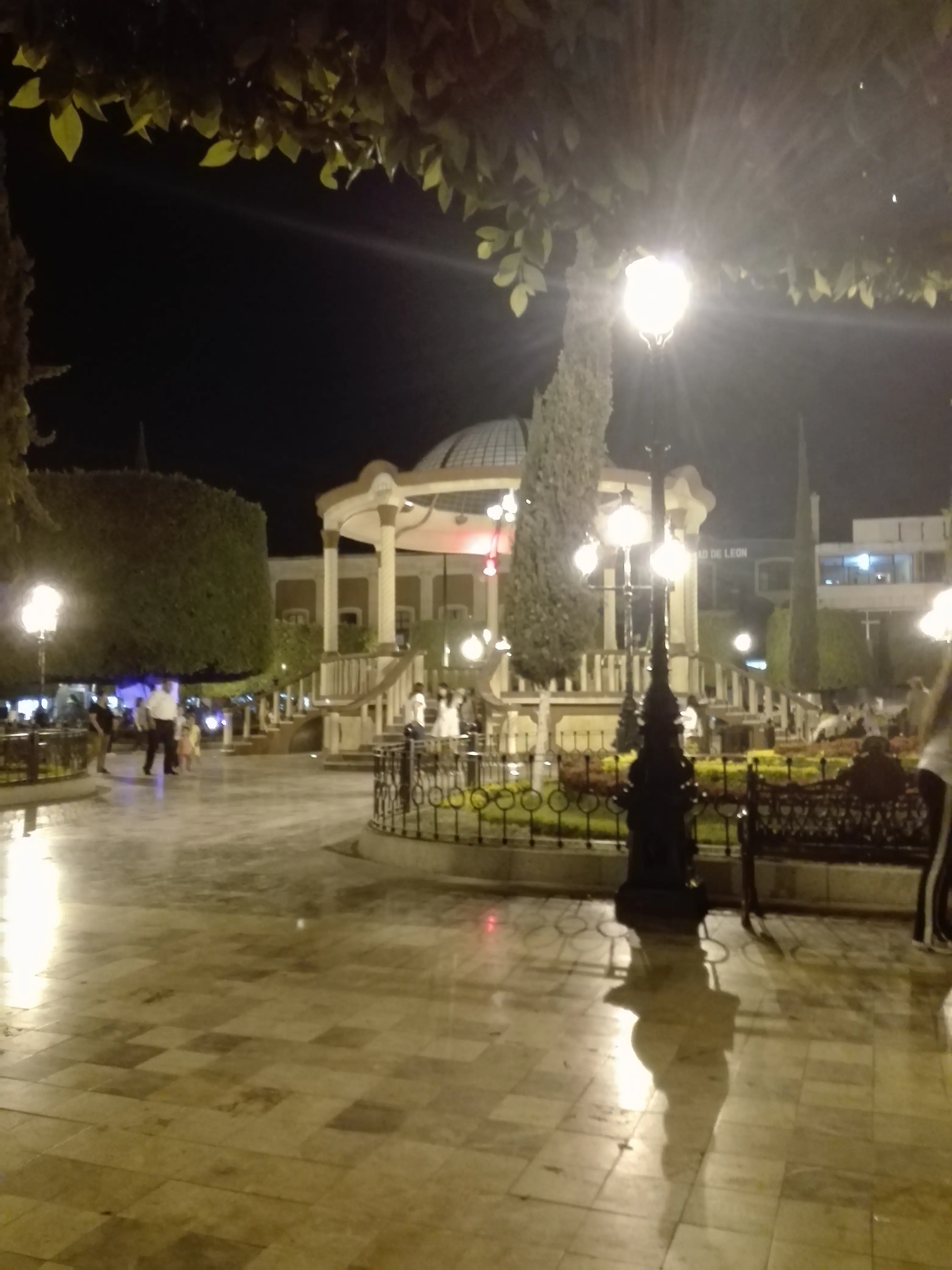 The Italian Coffee Company image 6