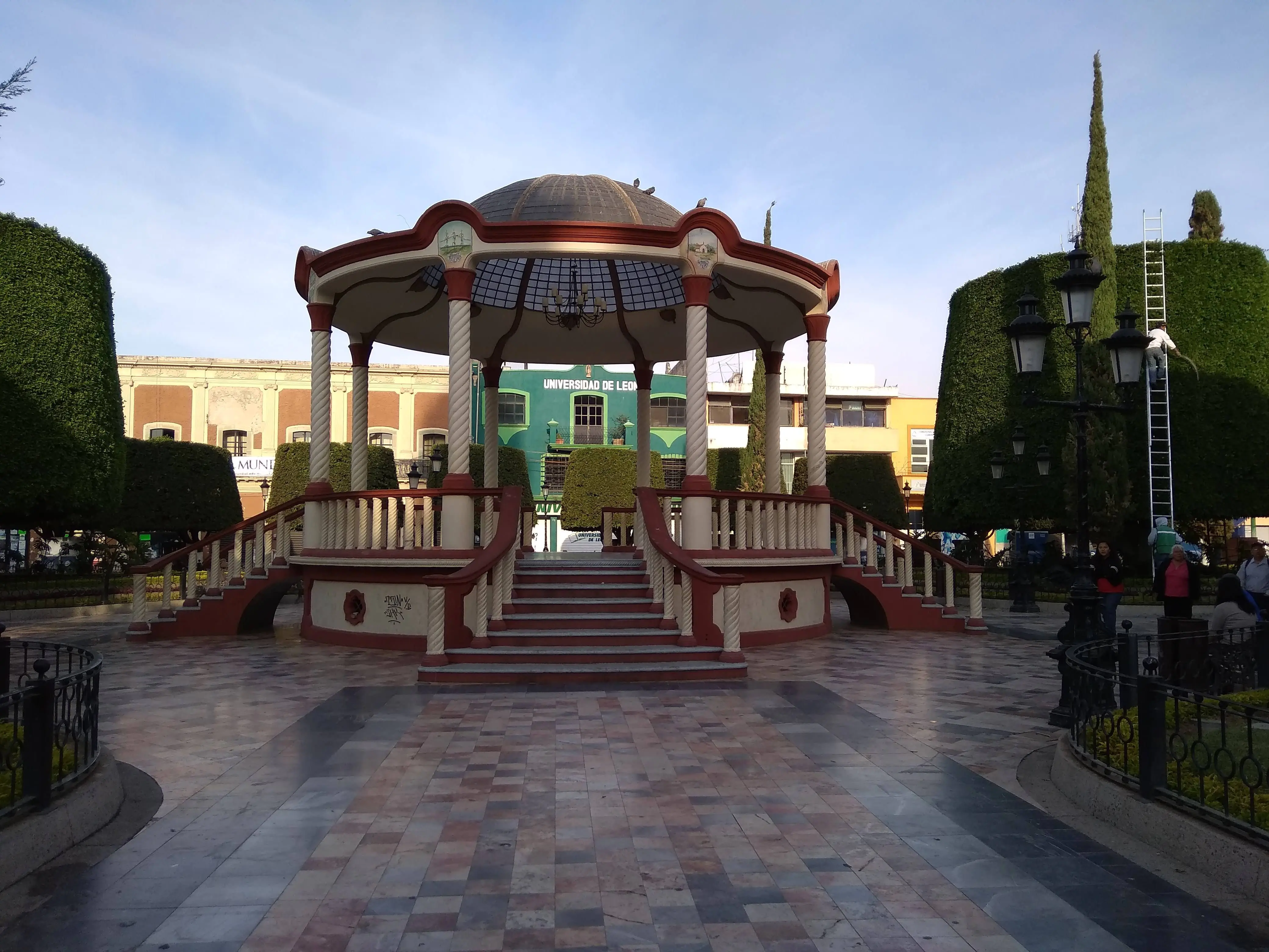 The Italian Coffee Company image 7