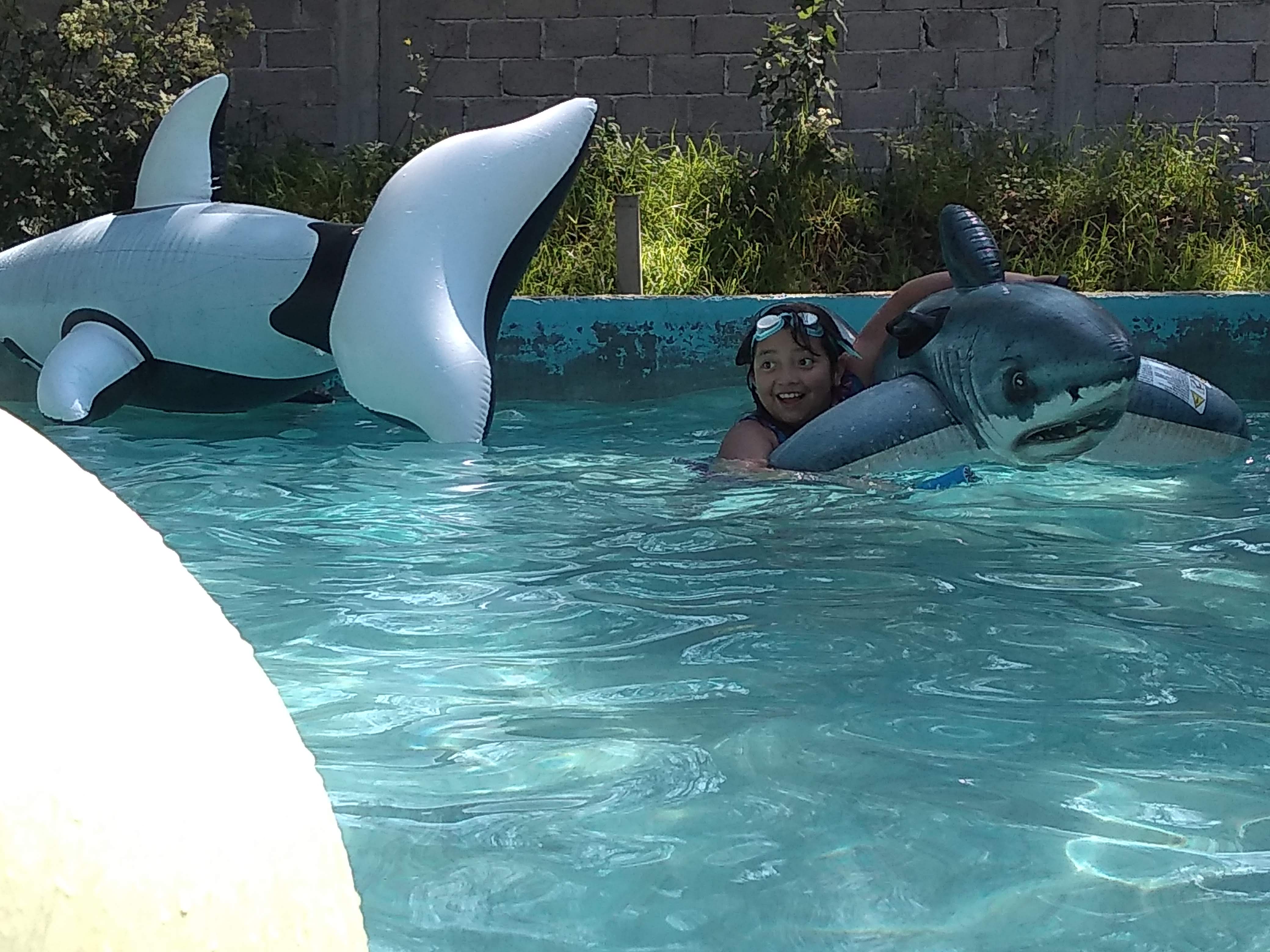 RESTAURANTE VILLA AZTECA DON LENCHO image 8