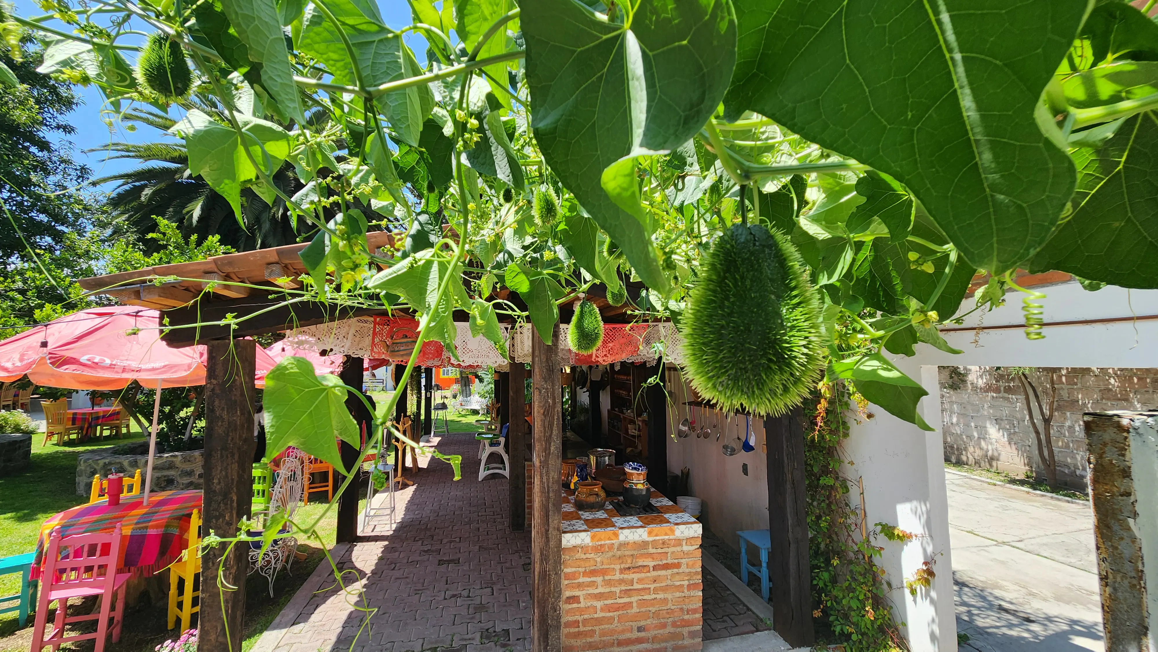Restaurante Flor de María image 10