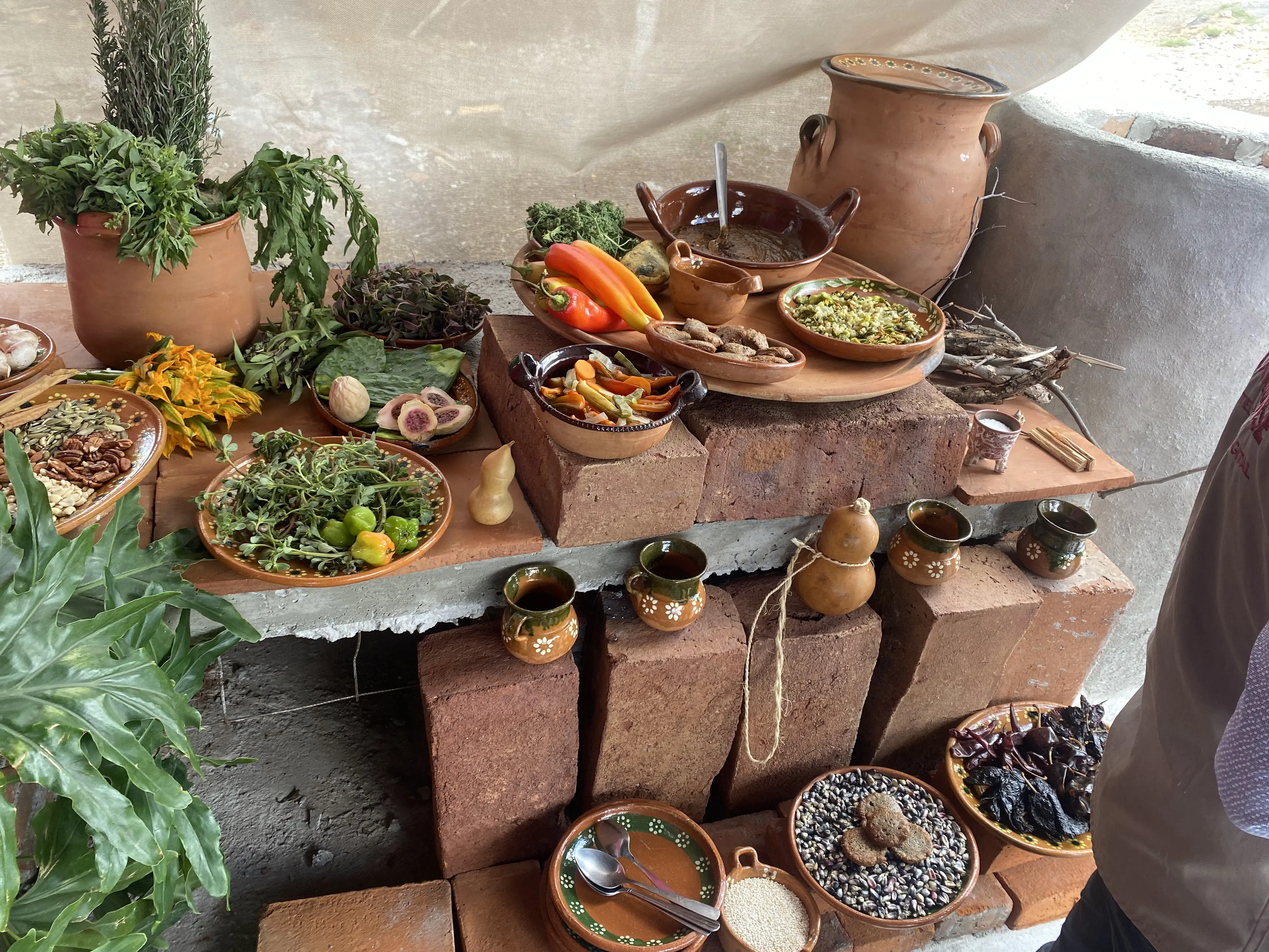 Restaurante y bar familiar “El Mitote Teotihuacán”. image 2