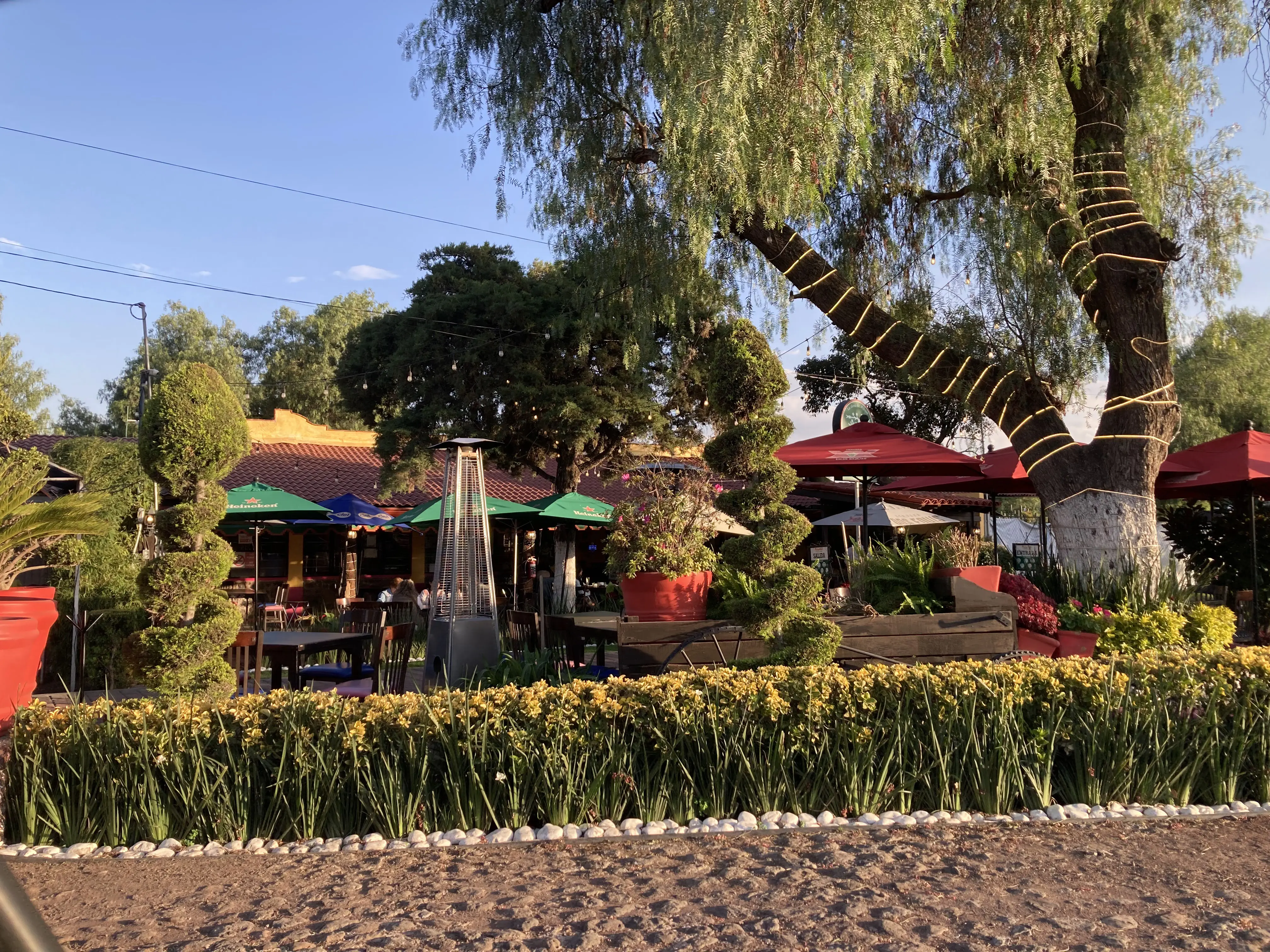 Mayahuel Restaurante & Grill Teotihuacan image 9