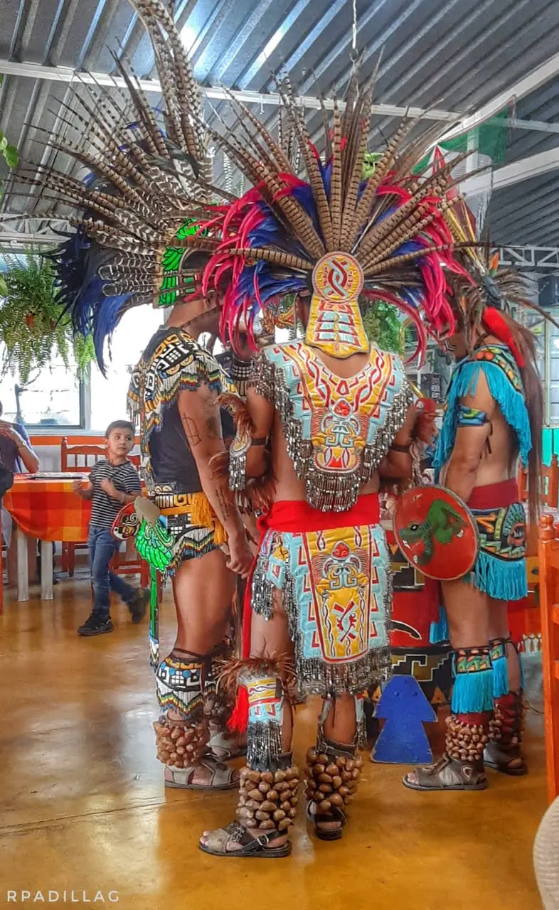 Comedor Katy image 10