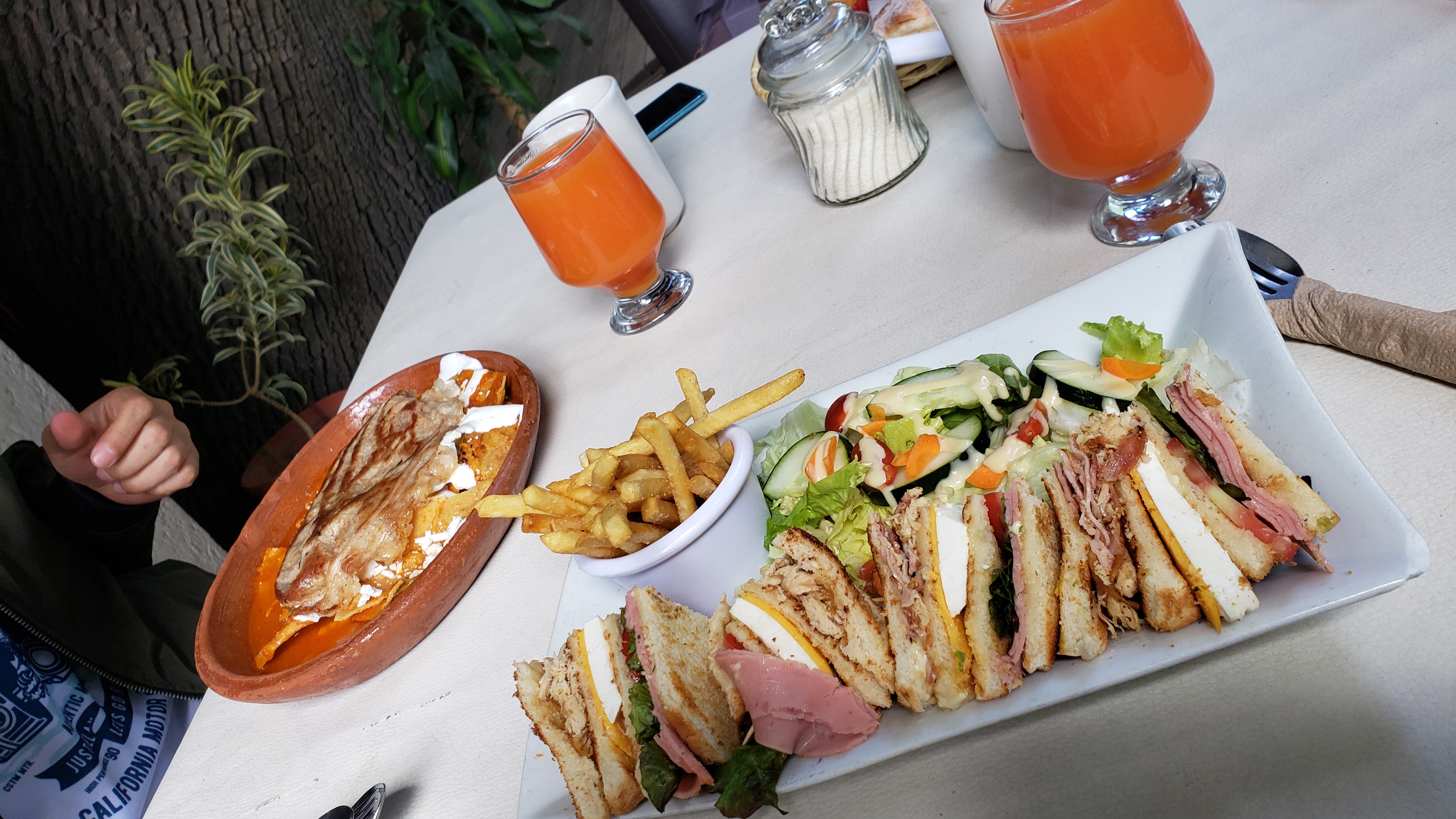 Los Ahuehuetes image 2