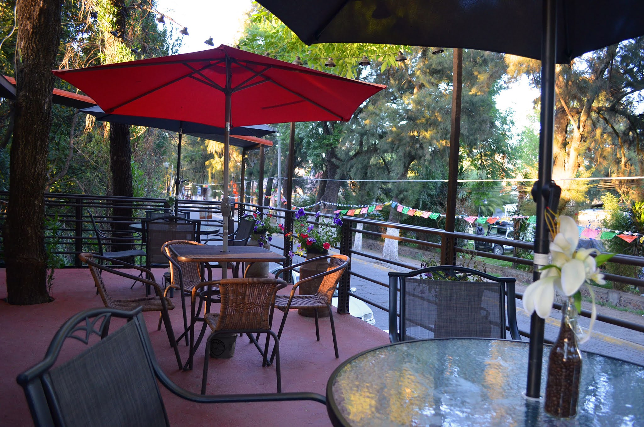 Los Ahuehuetes image 5