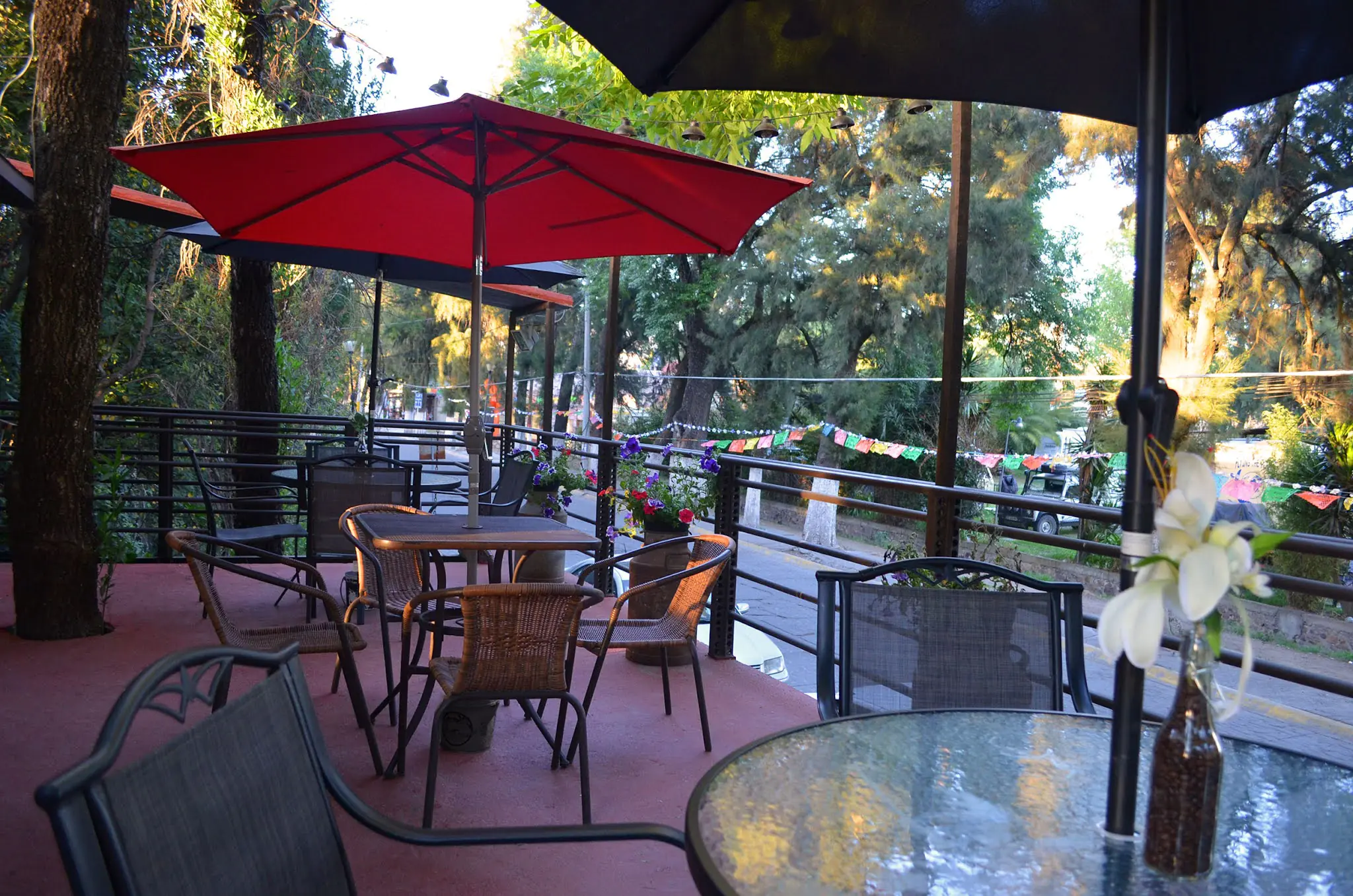 Los Ahuehuetes image 5