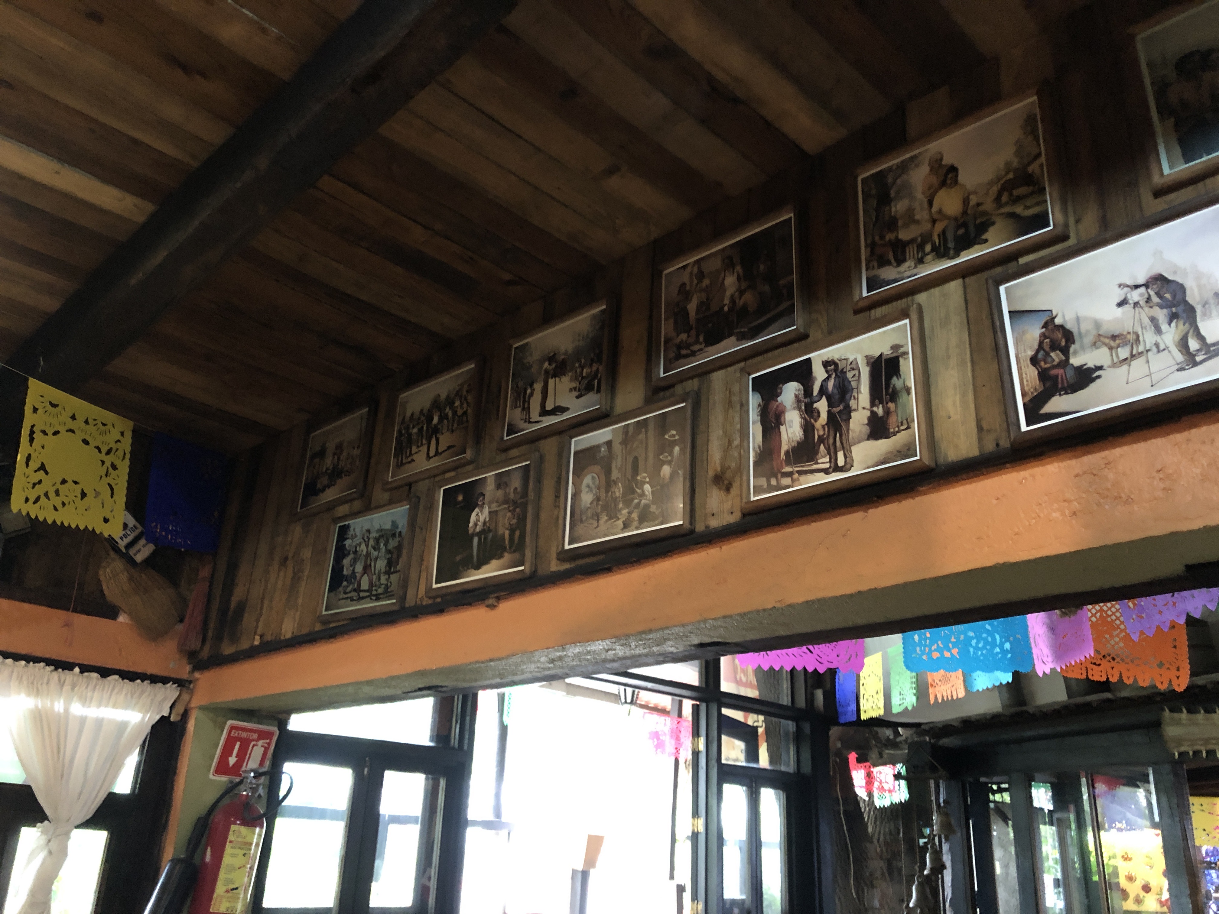 Los Ahuehuetes image 7