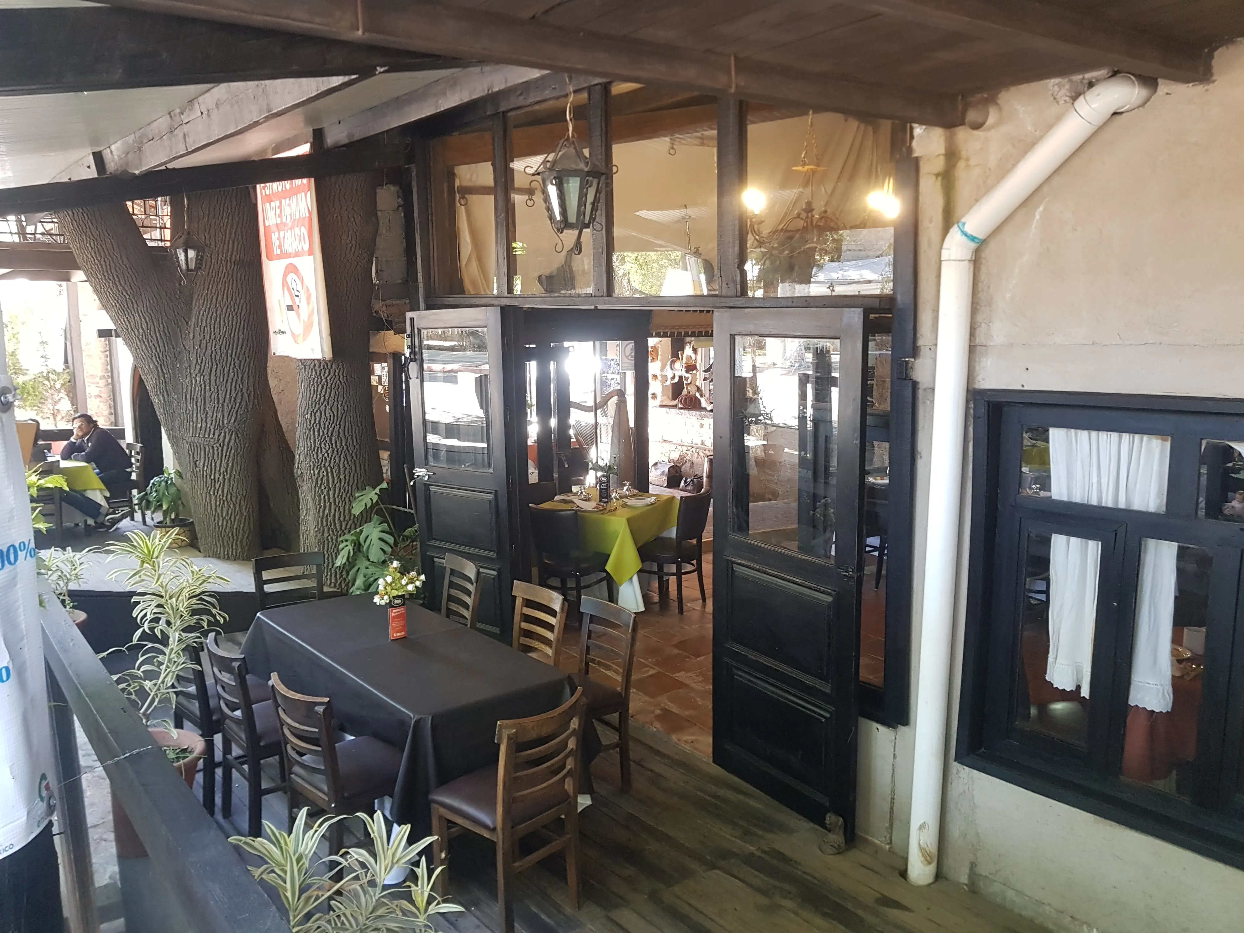 Los Ahuehuetes image 8