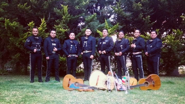 Camarochelas image 3