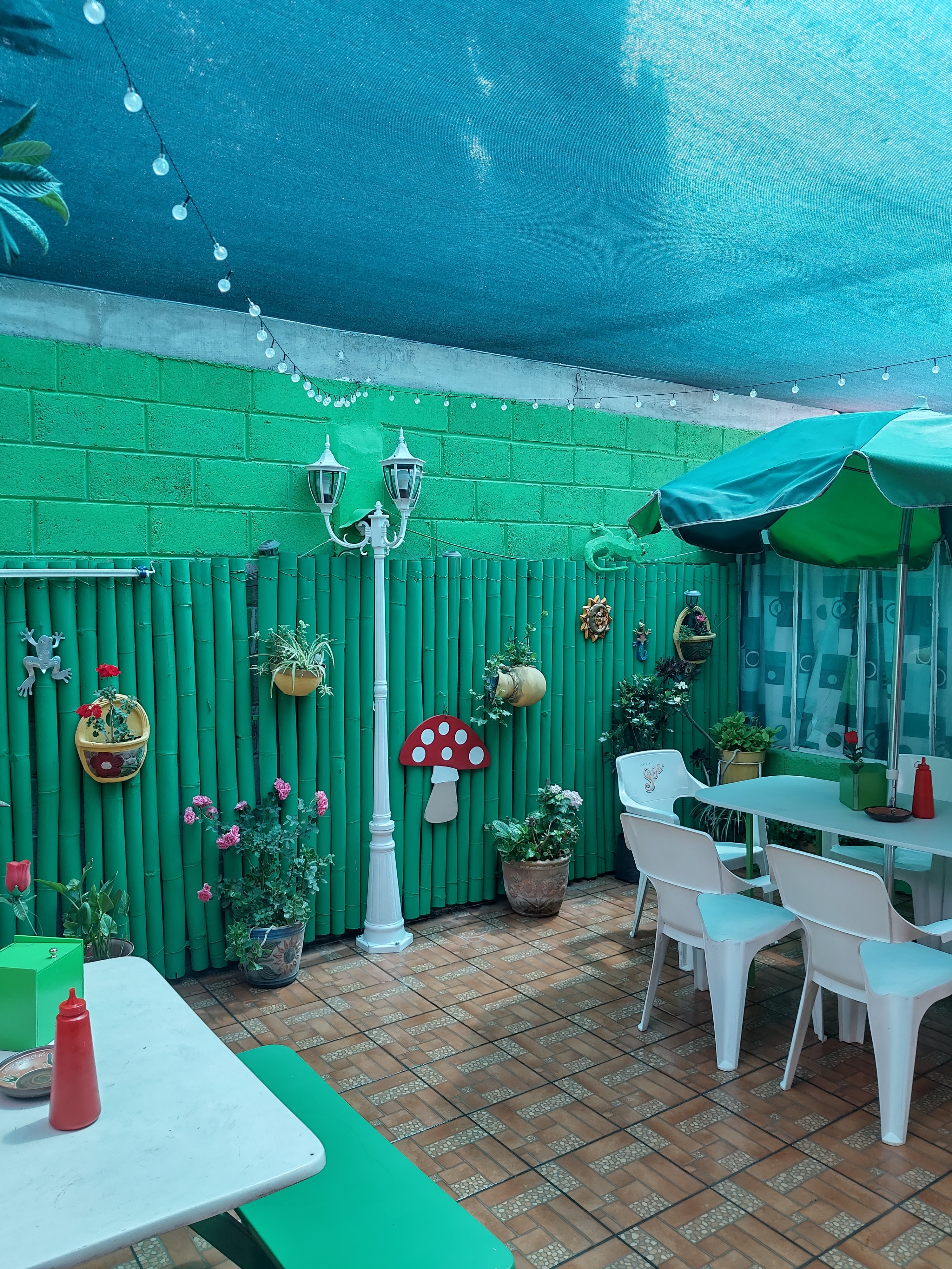 Camarochelas image 5