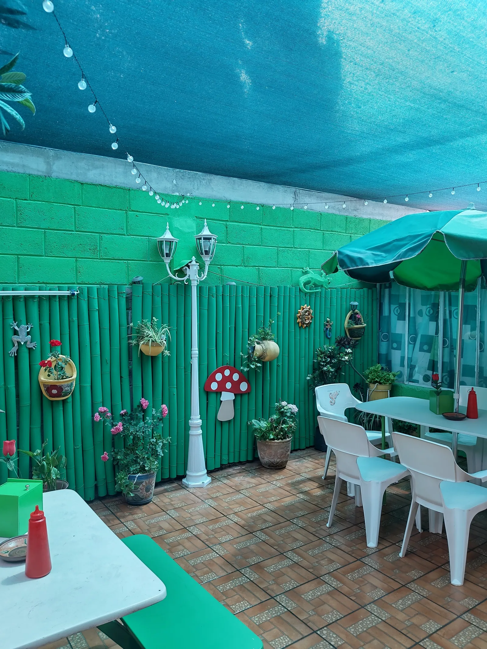 Camarochelas image 5