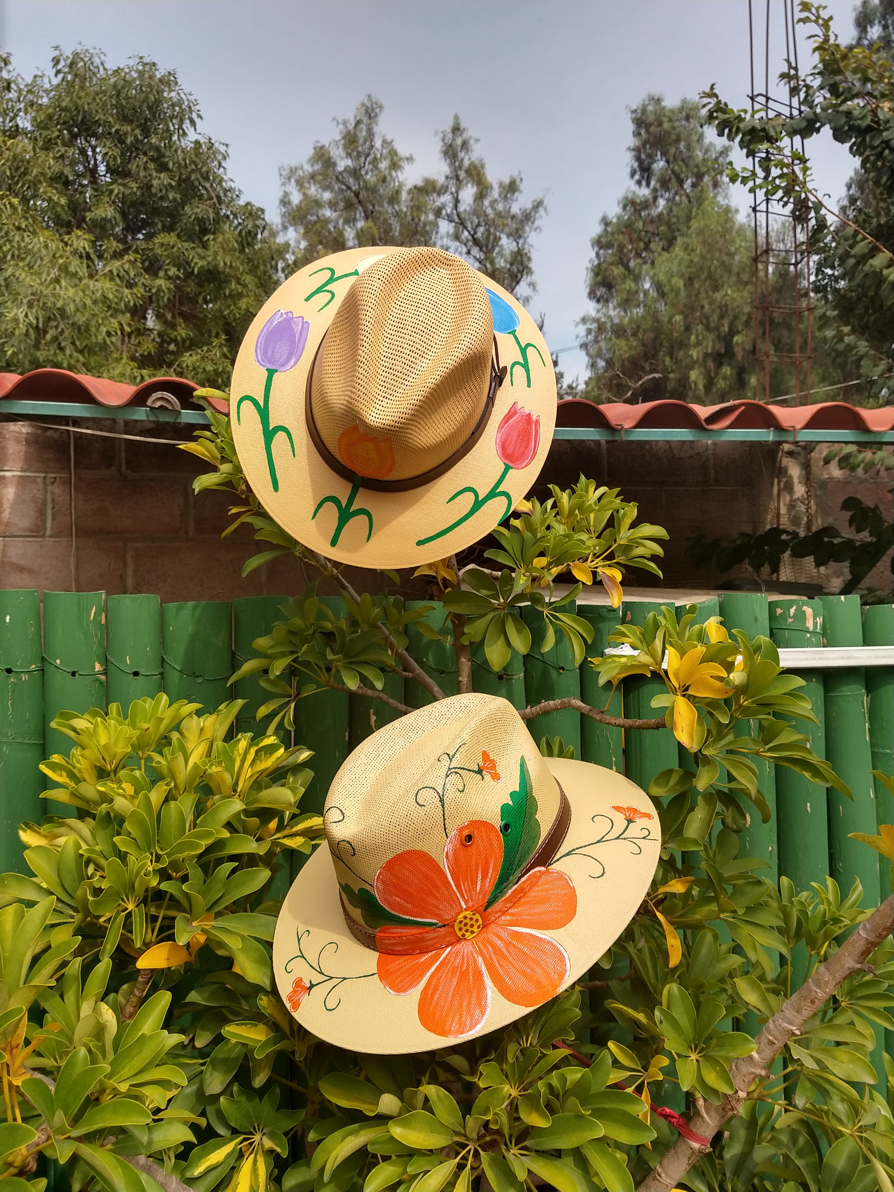 Camarochelas image 8