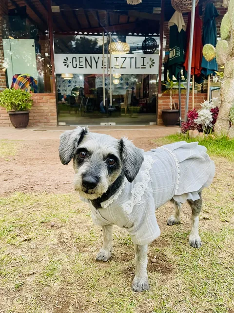 Cenyeliztli Restaurant & Grill image 7
