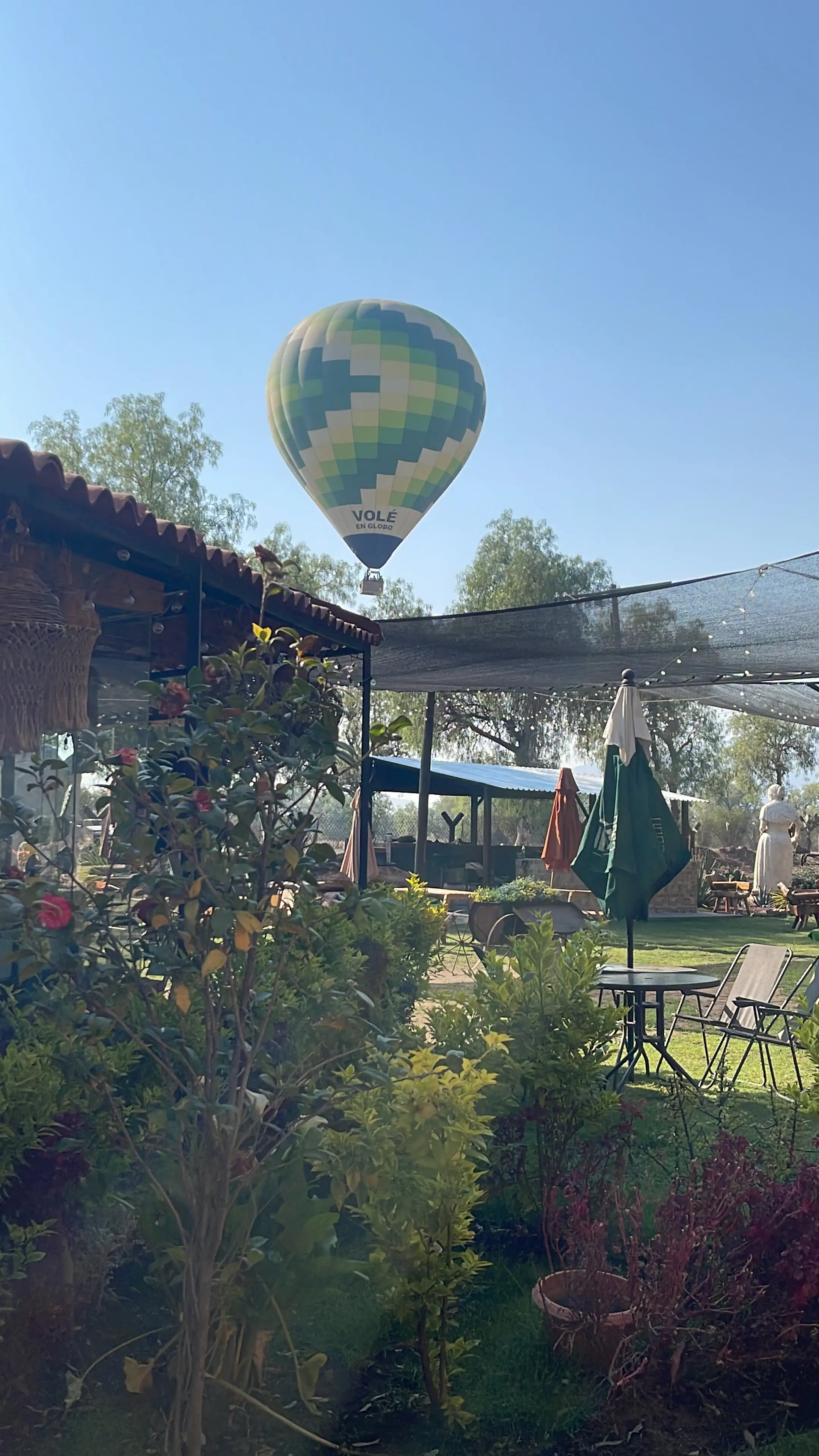 Cenyeliztli Restaurant & Grill image 10