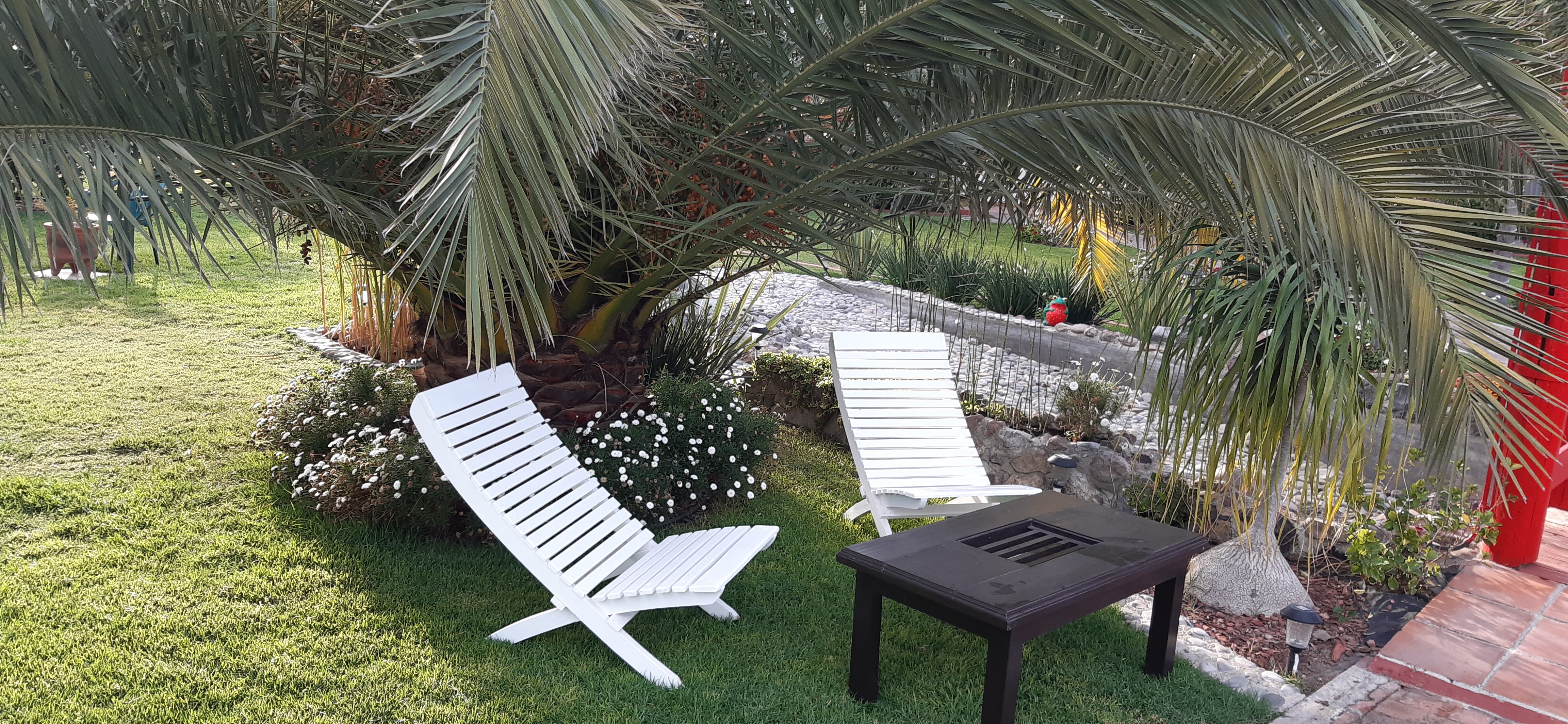 Restaurante Palmas Teotihuacán image 1